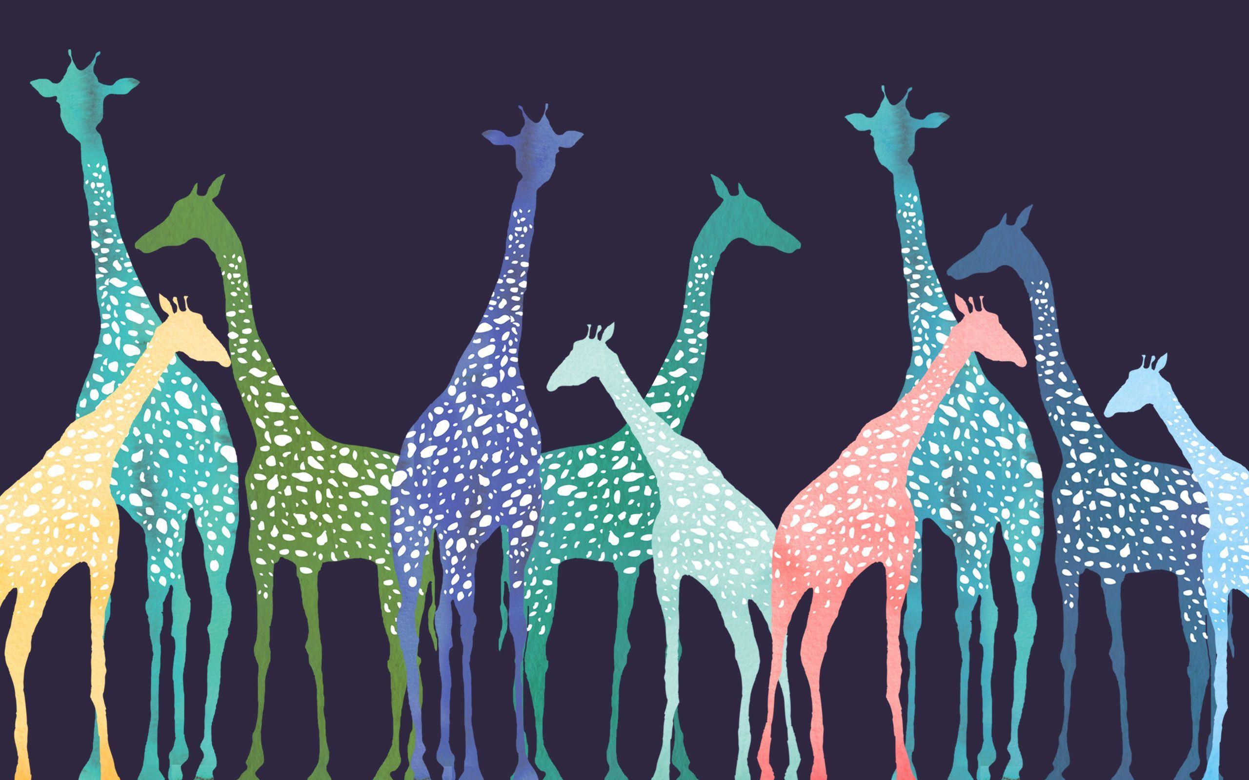 Giraffe Desktop Background 75 pictures