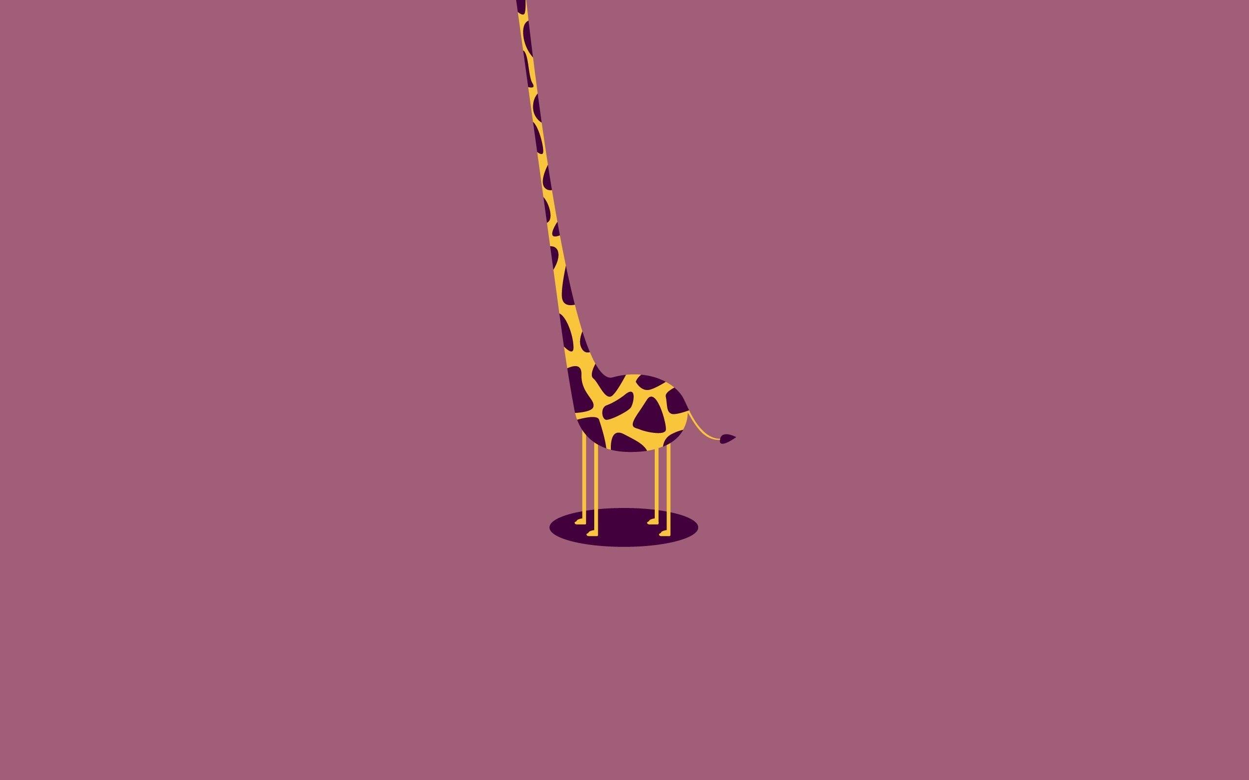 2560x1600 Free download Giraffe Desktop Wallpaper Stretching Giraffe