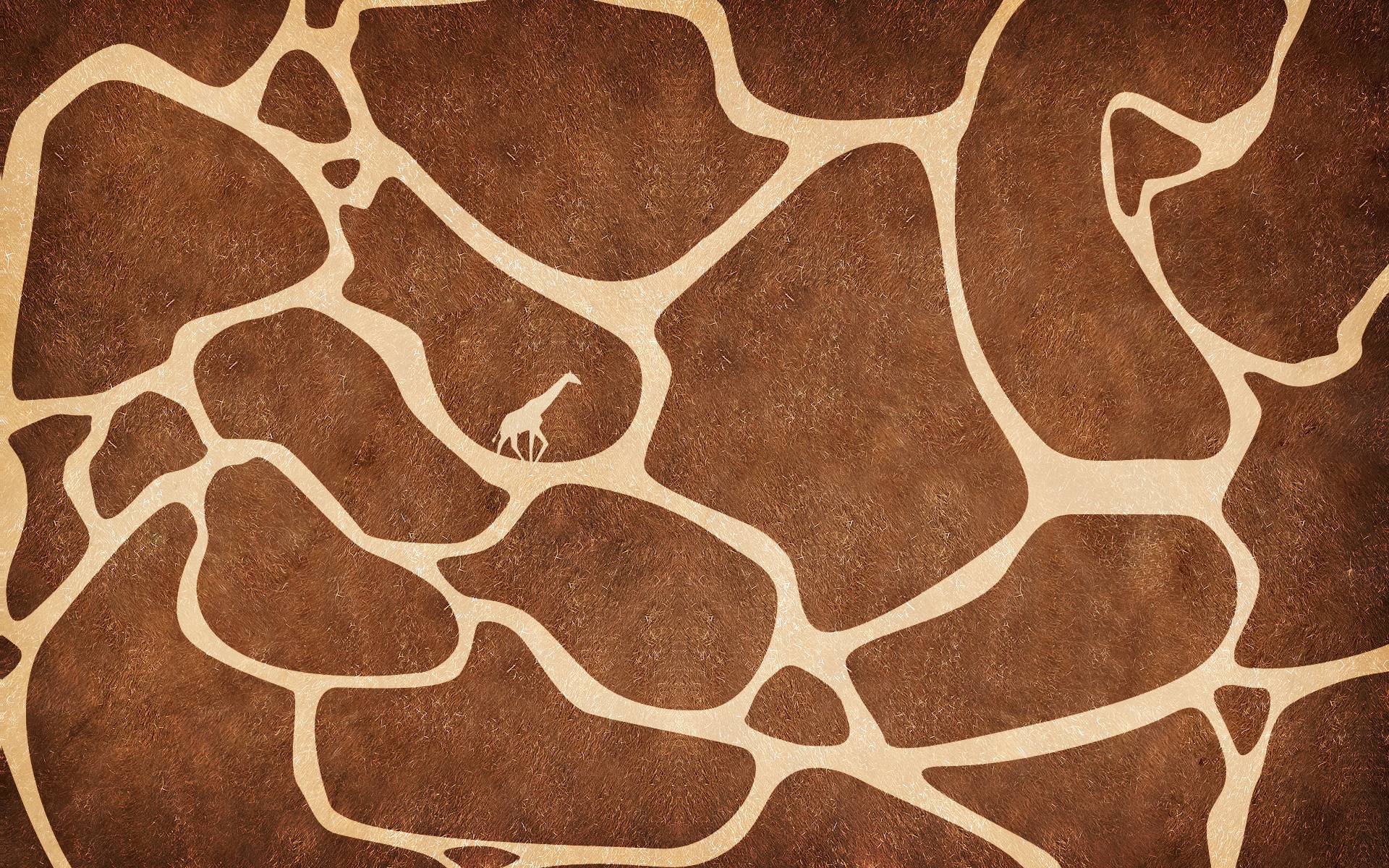 1920x1200 Giraffe Background