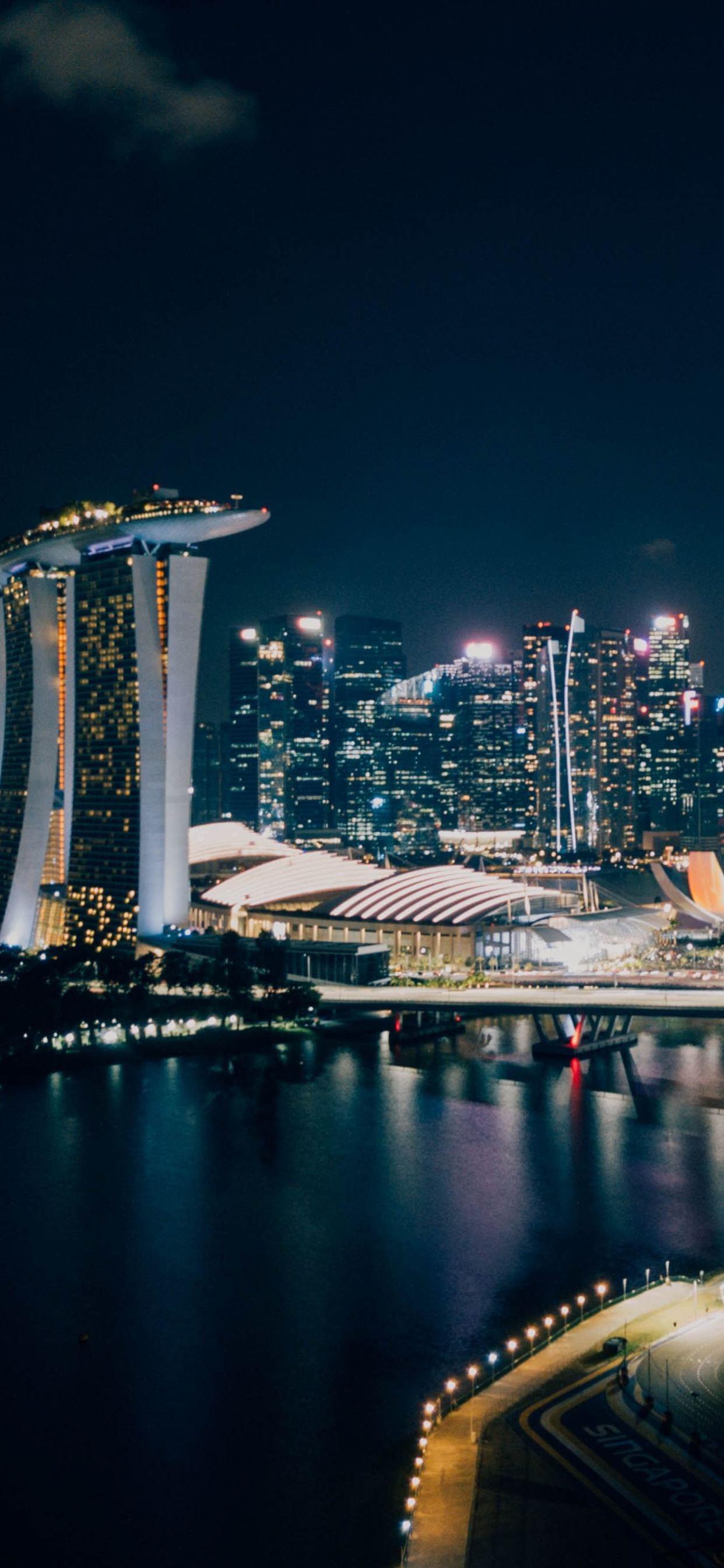 1242x2688 iPhone Singapore Night Wallpaper