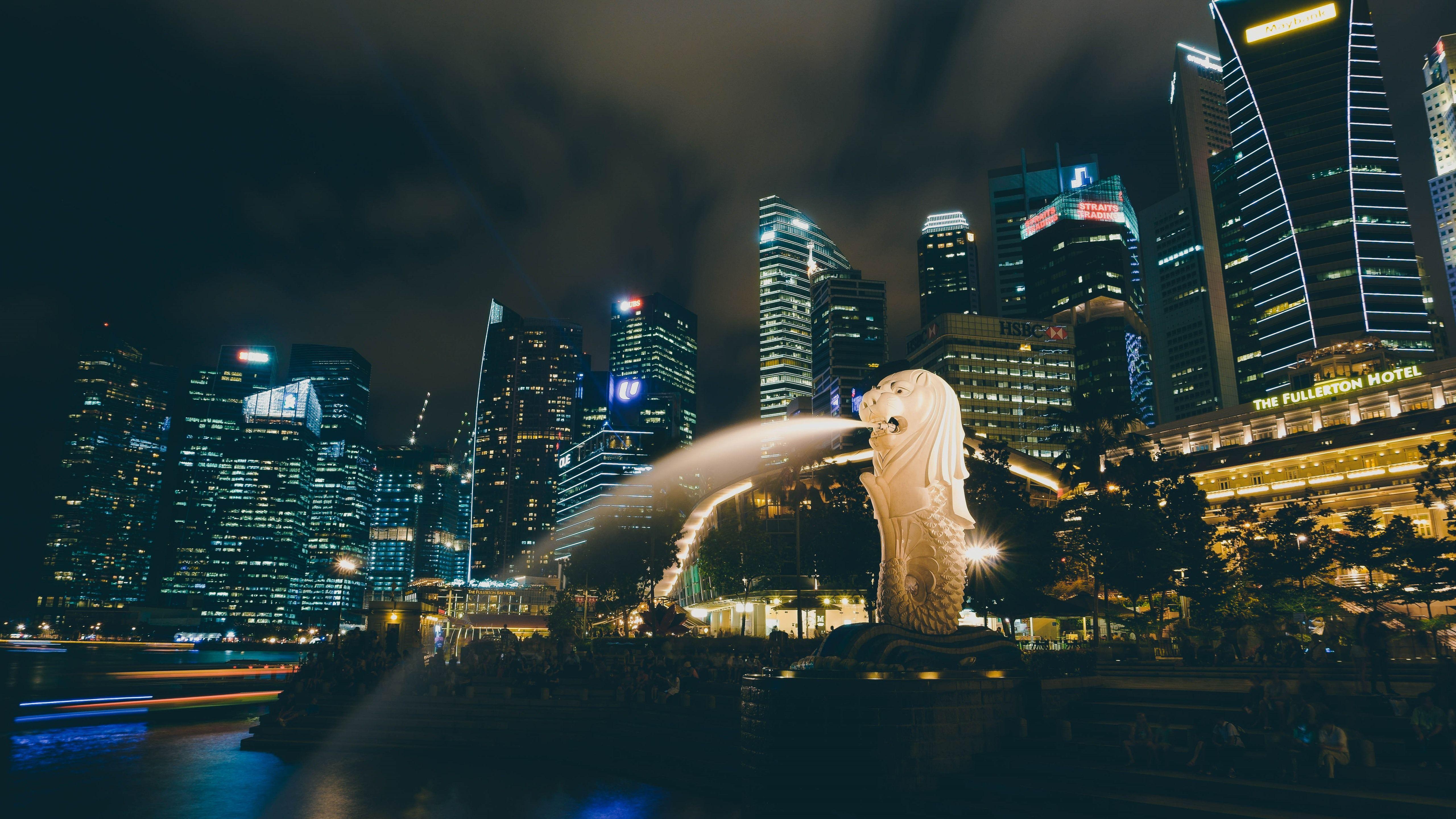 5120x2880 City night, Singapore, skyscrapers, fountain 1242x2688 iPhone 11