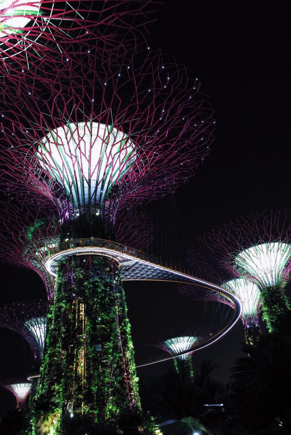 1000x1496 Singapore Night Picture. Download Free Image