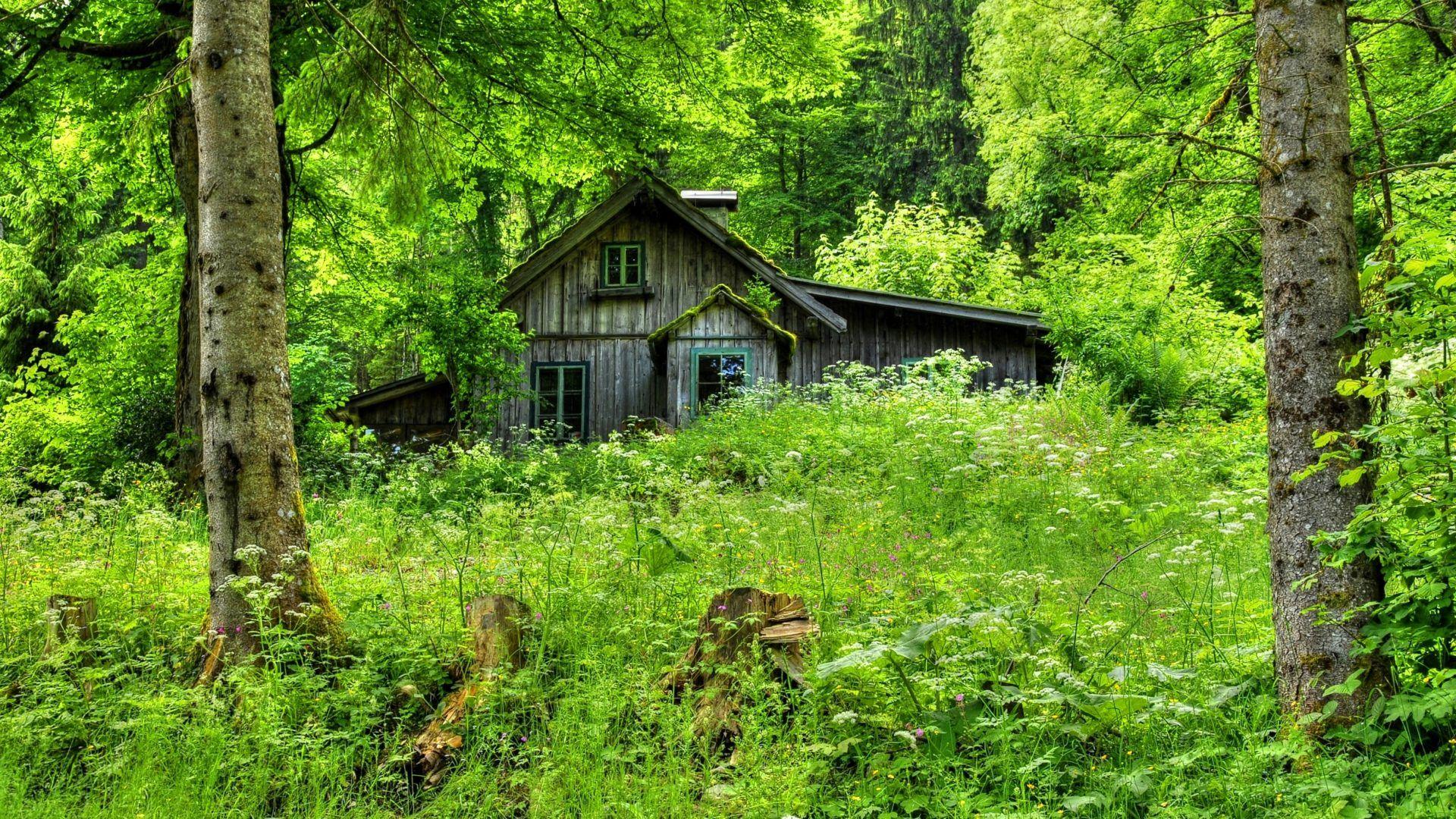 1920x1080 Home Desktop Background. Beautiful