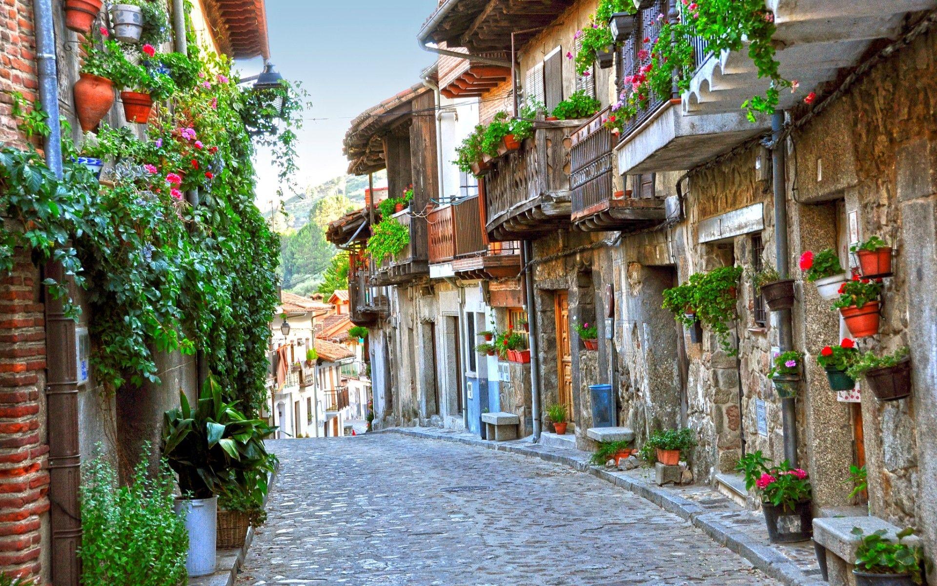 1920x1200 #street, #building, #old building, #flowers, #plants