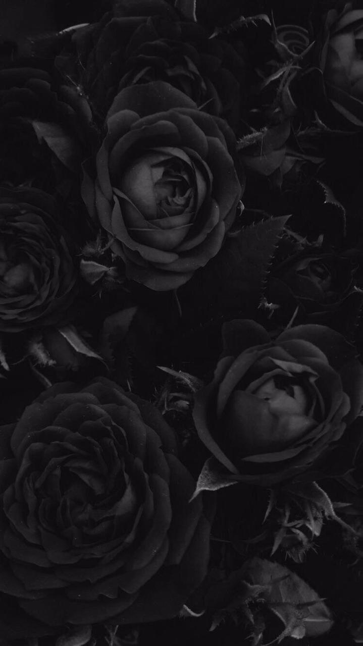 Aesthetic black flowers image Wallpapers Download  MobCup
