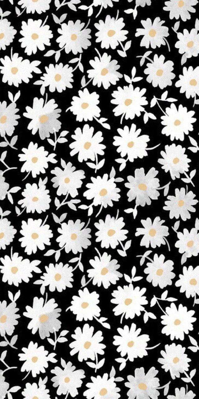 640x1280 background, black, flowers and iphone