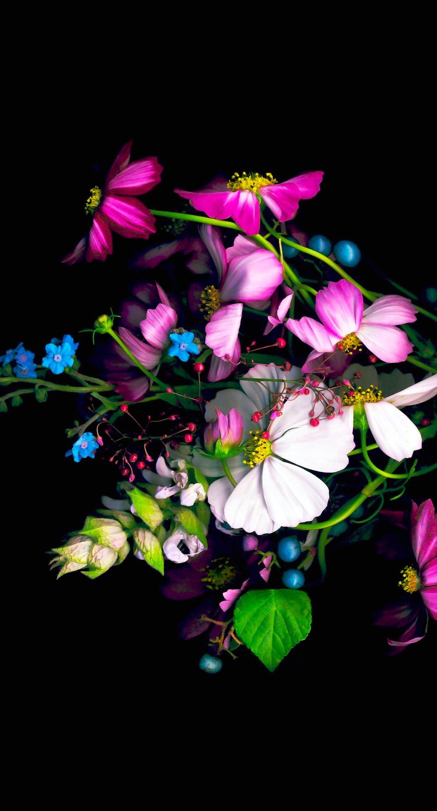 1398x2592 Red And Black Flower Wallpaper 壁紙 黒 花