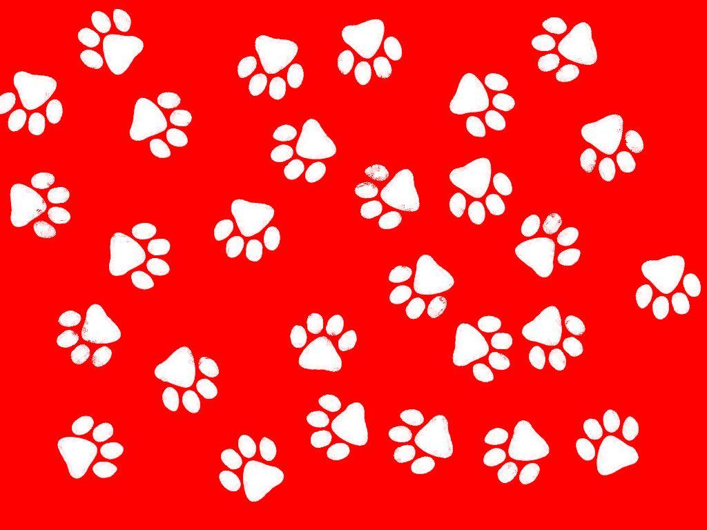 Cat Paw Print Wallpapers - Top Free Cat Paw Print Backgrounds - WallpaperAccess