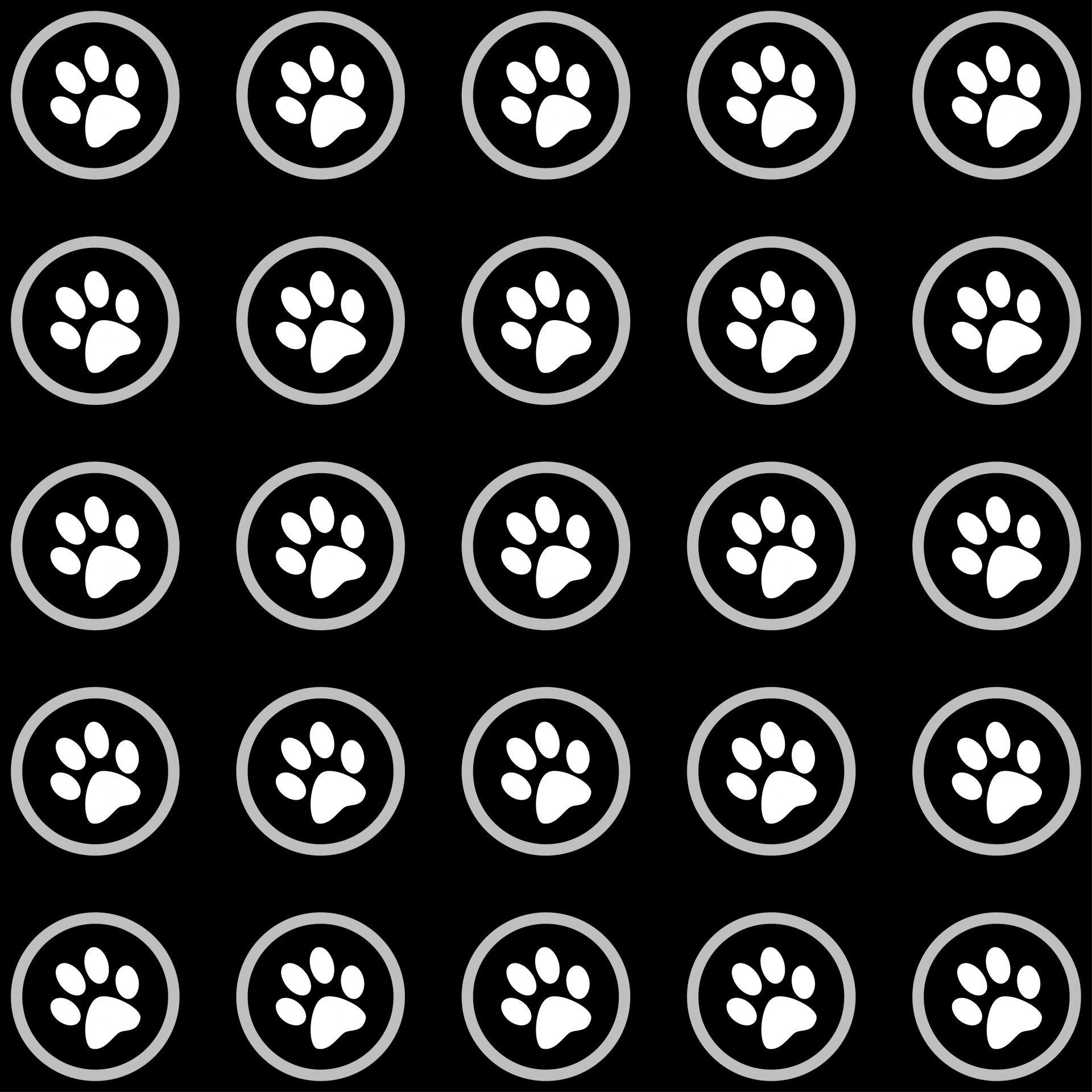 1920x1920 Pawprint, paw print, pawprints, paw prints, wallpaper image