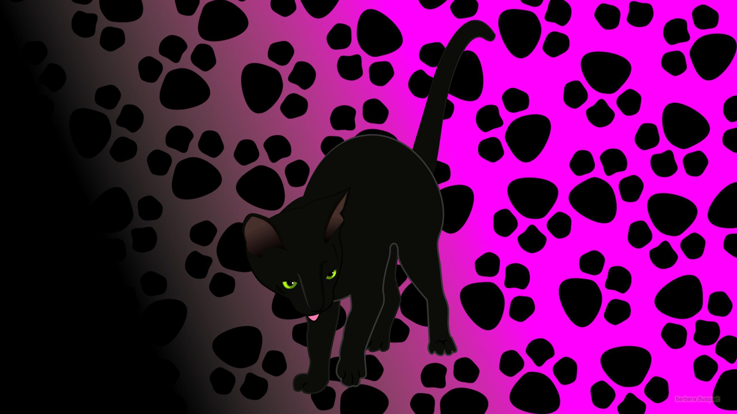 2560x1440 Cats background's HD Wallpaper