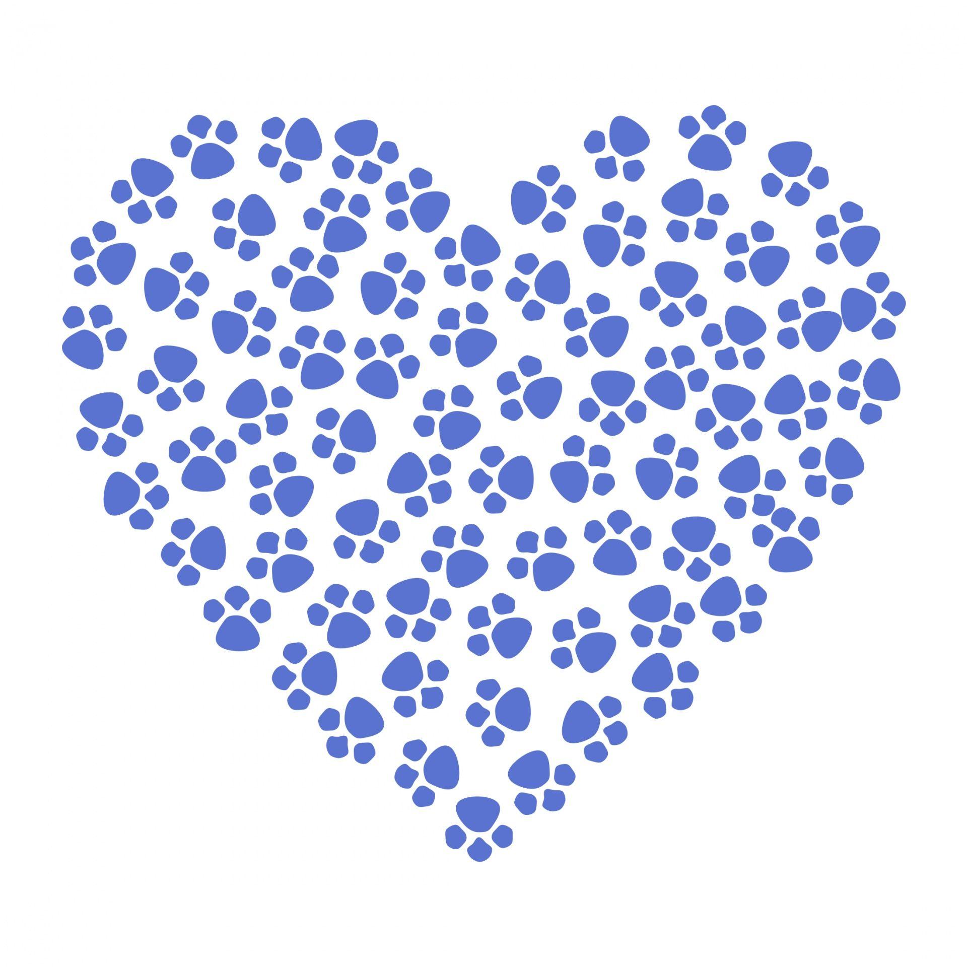 1920x1920 Paw Prints Heart Blue Free Domain Picture