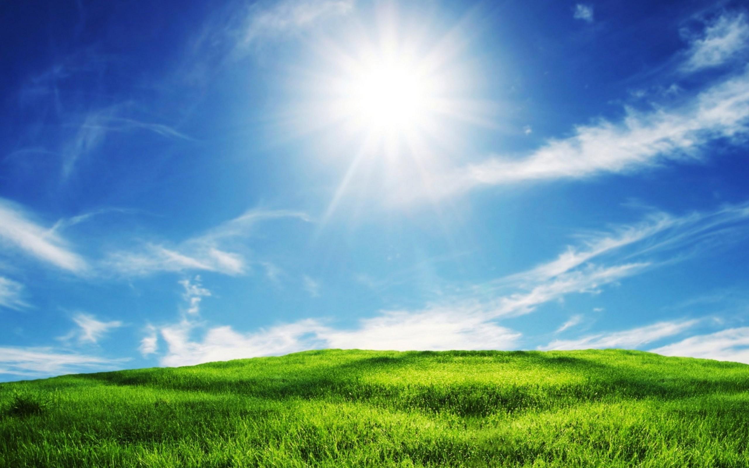 2560x1600 Free Download Grass Click At Link To Green And Blue Sky Fors