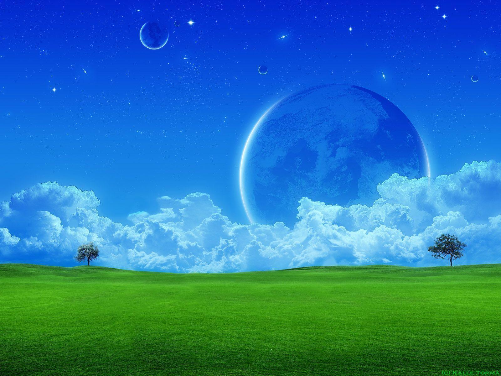 1600x1200 Green Grass Wallpaper