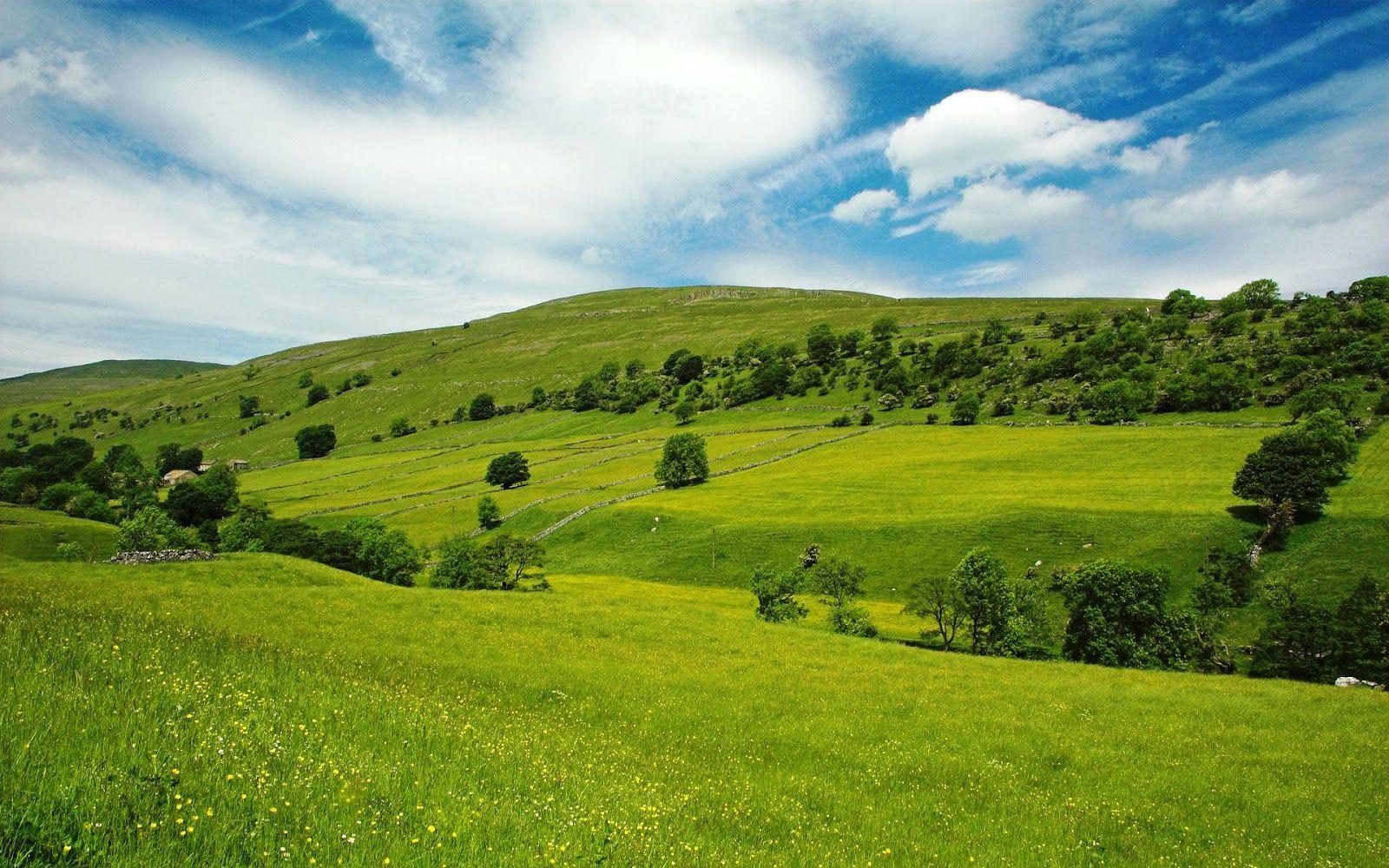 1600x1000 Beautiful Wallpaper: Clouds Blue Sky Green Grass Hills Nature