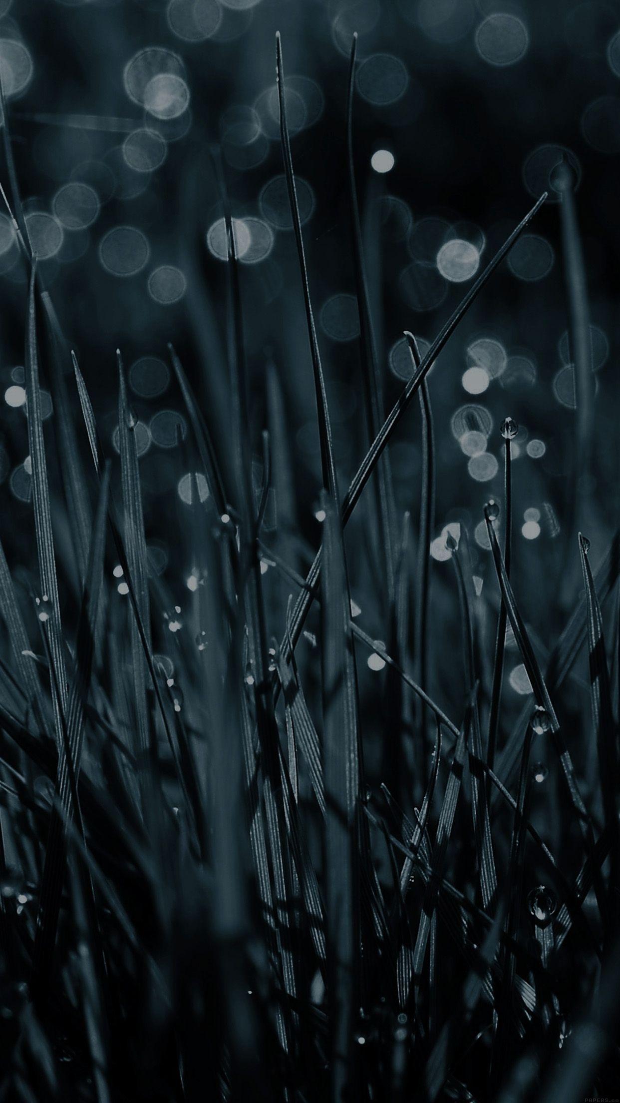 1242x2208 Lawn Grass Blue Rain Nature