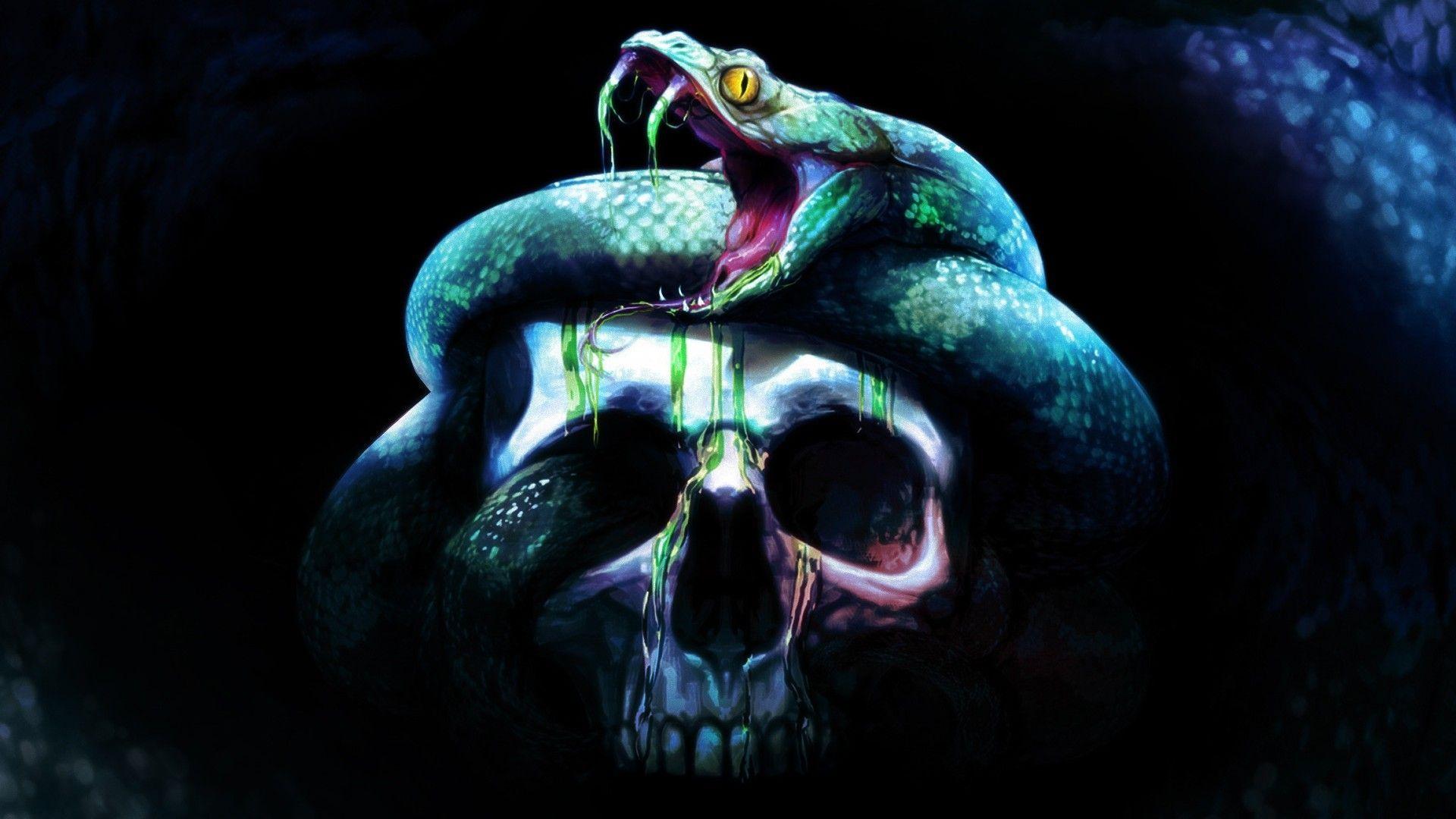 Skull and Snake Wallpapers - Top Free Skull and Snake Backgrounds -  WallpaperAccess
