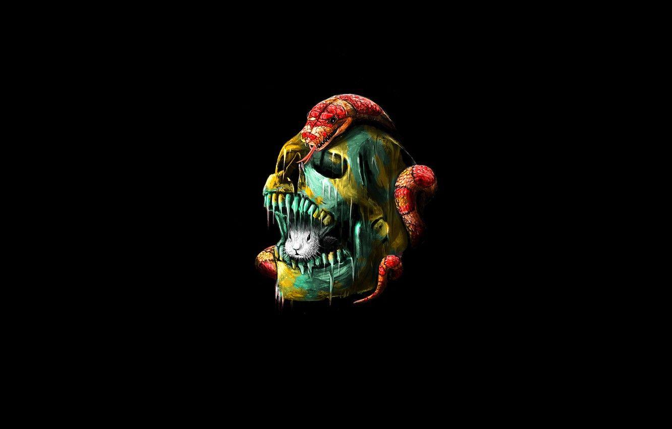 1332x850 Wallpaper skull, snake, rabbit, sake image for desktop, section