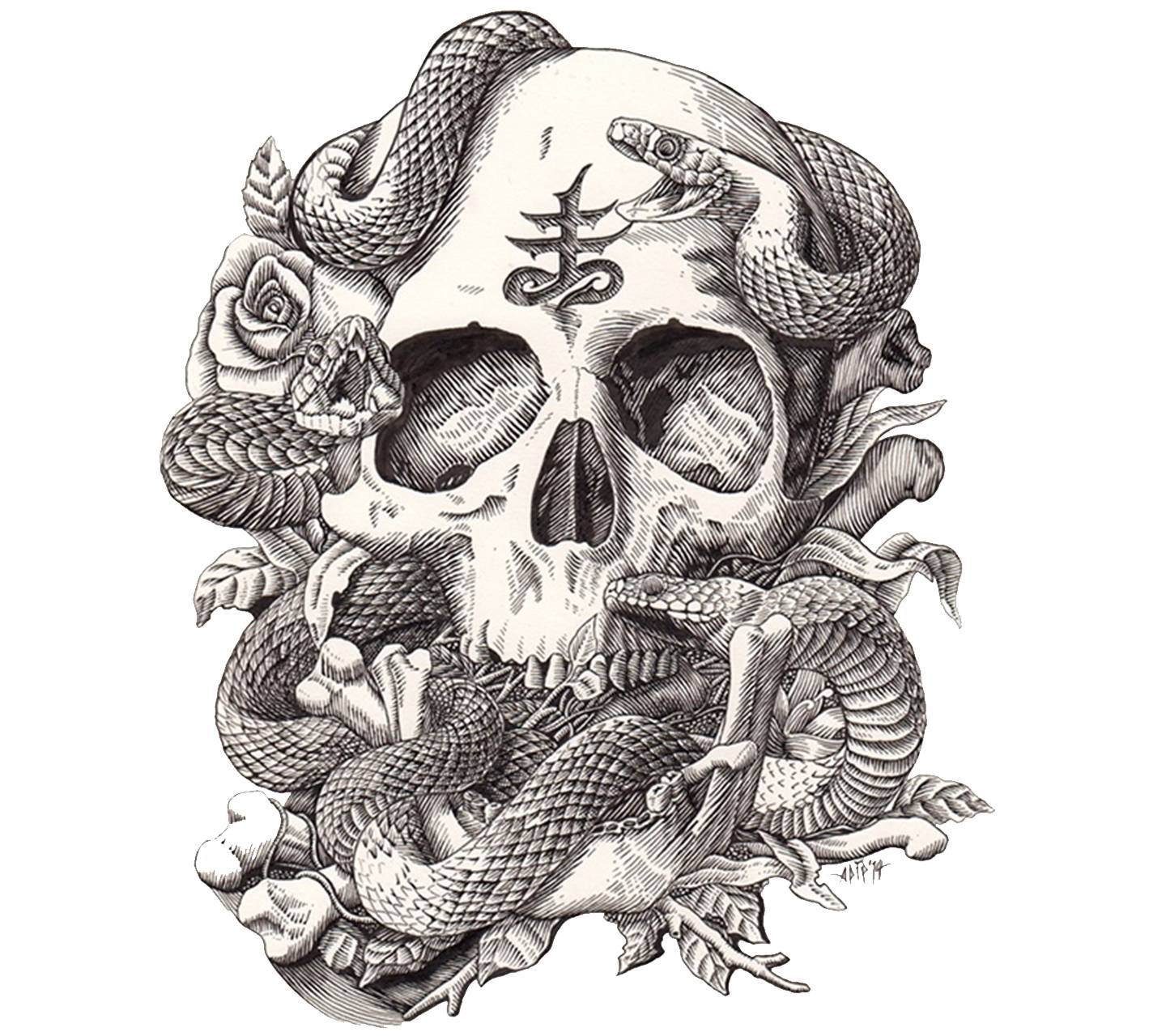 1440x1280 Snake Wallpaper by ZEDGE™
