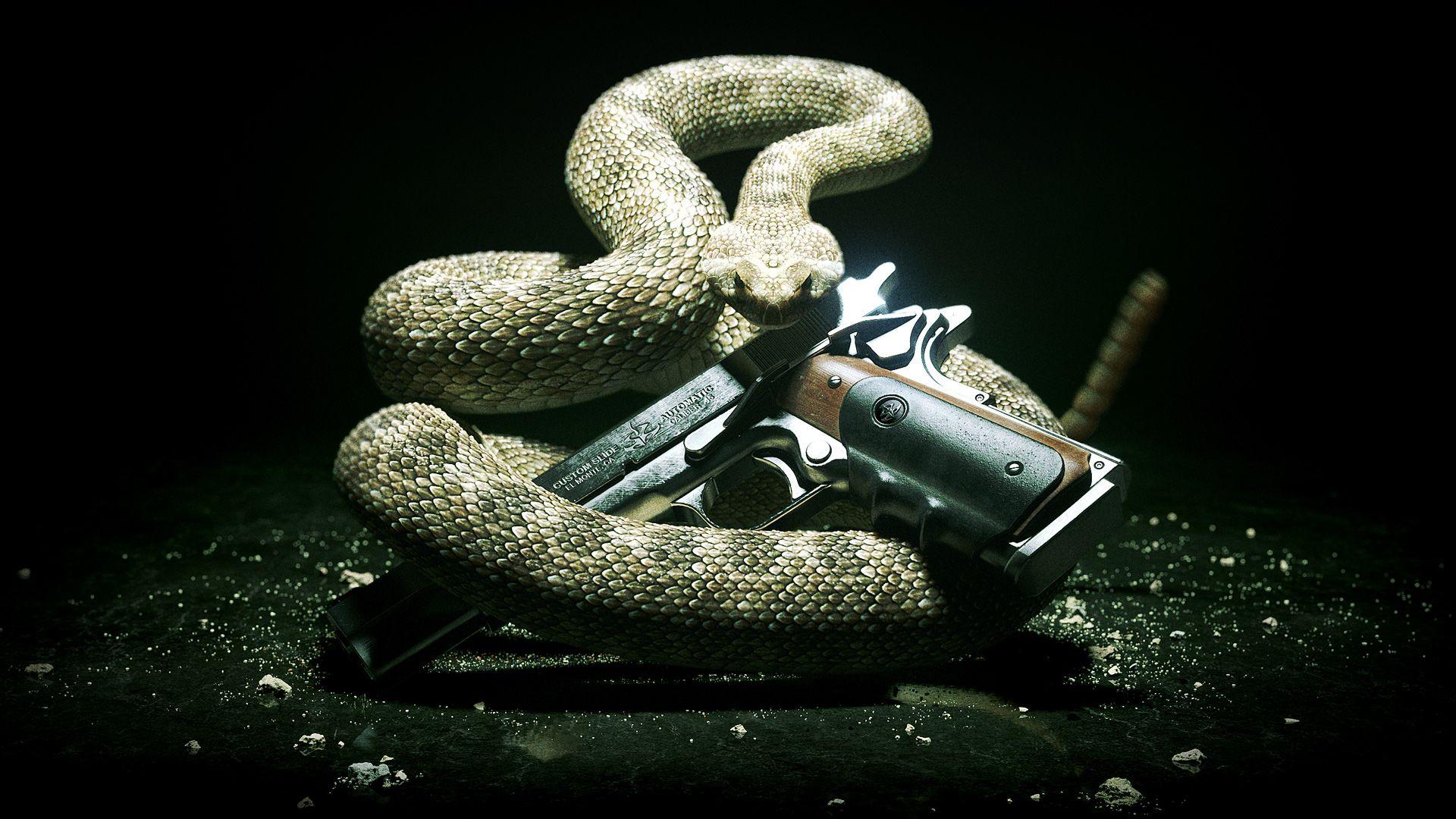 1920x1080 Snakes Wallpaper EVF.SCB Wallpaper