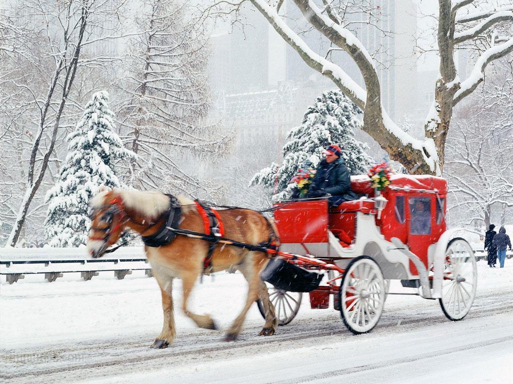 1024x768 Christmas Time <33