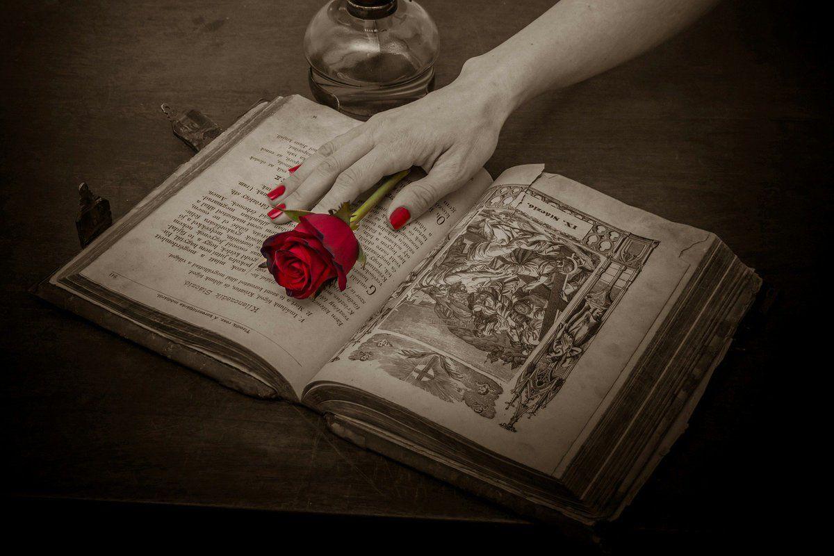 1200x800 HD Wallpaper - #love #rose #red #book #open #hand