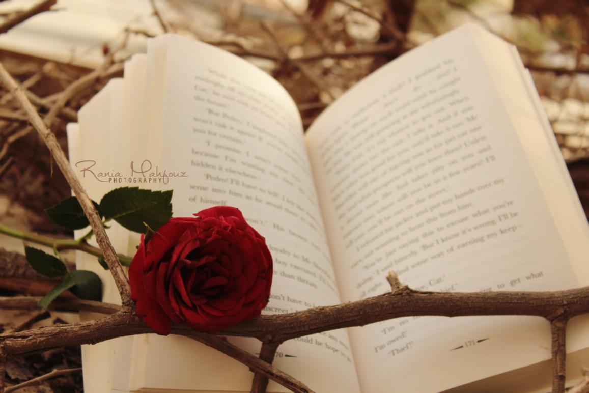 1157x772 Reader Wallpaper. Card Reader Wallpaper