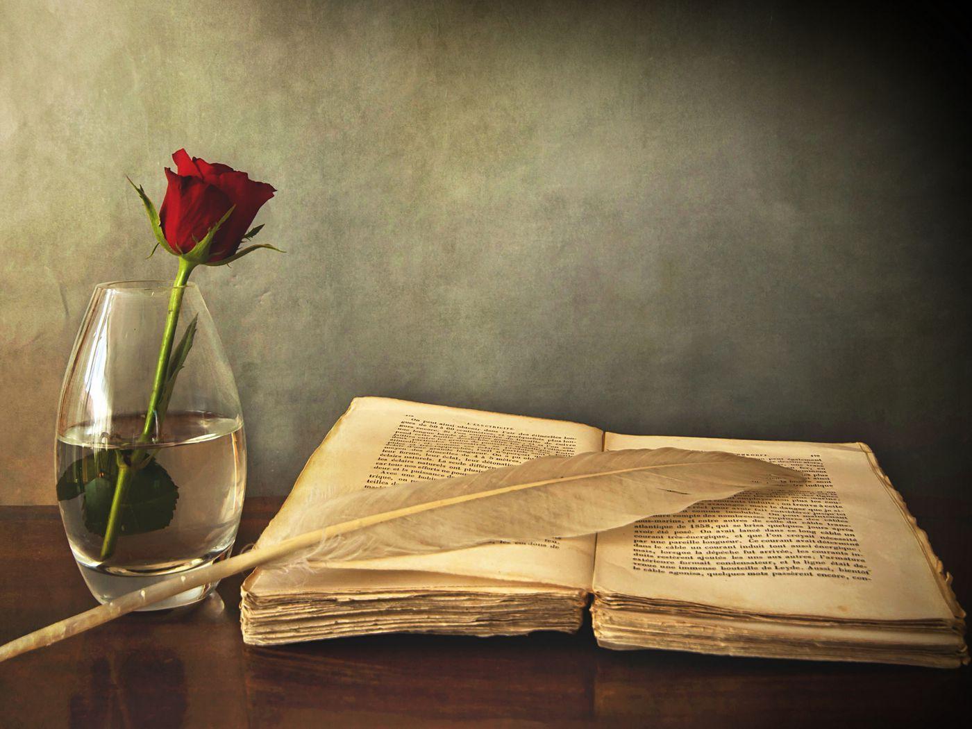 1400x1050 Download wallpaper 1400x1050 book, old, pen, table, vase, rose