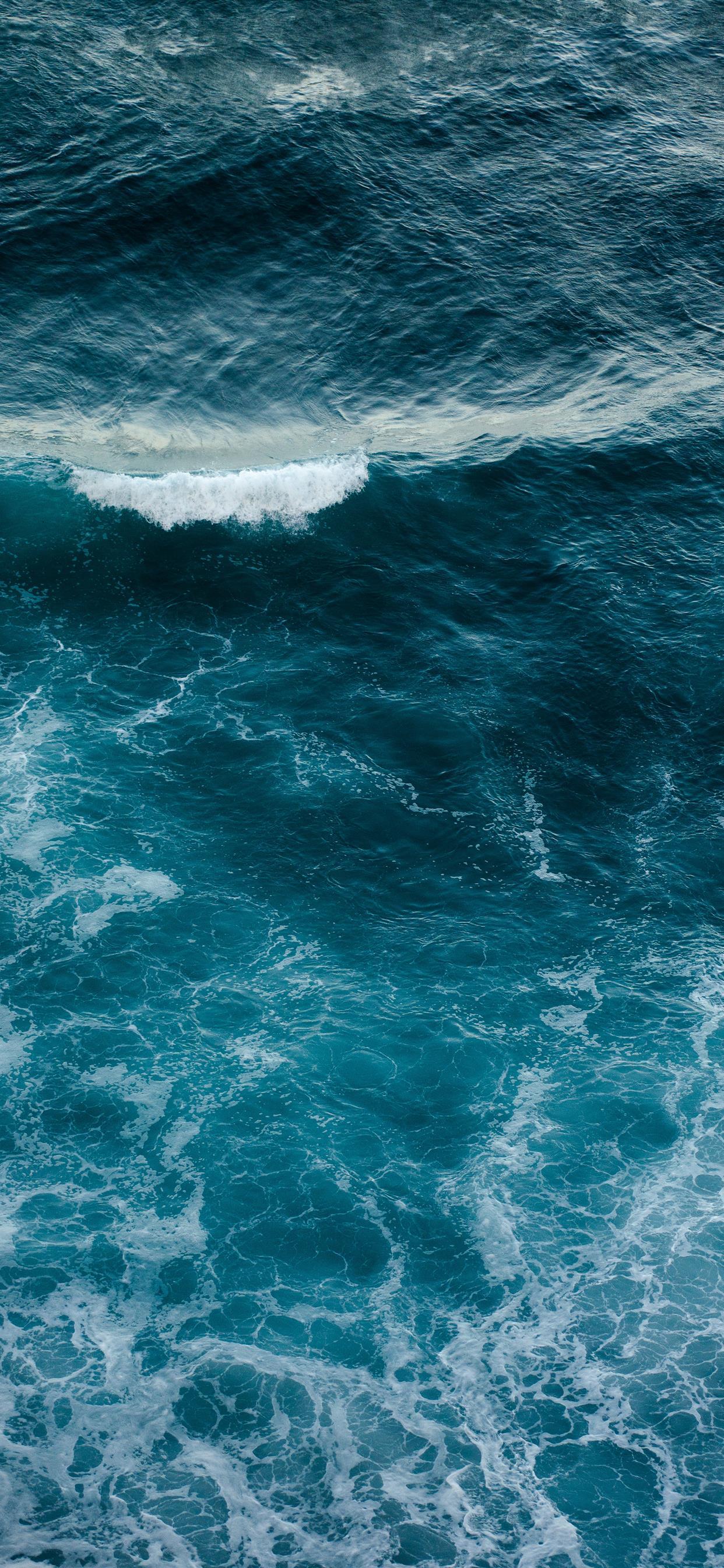 1242x2688 Wild Ocean iPhone Wallpaper Free Download