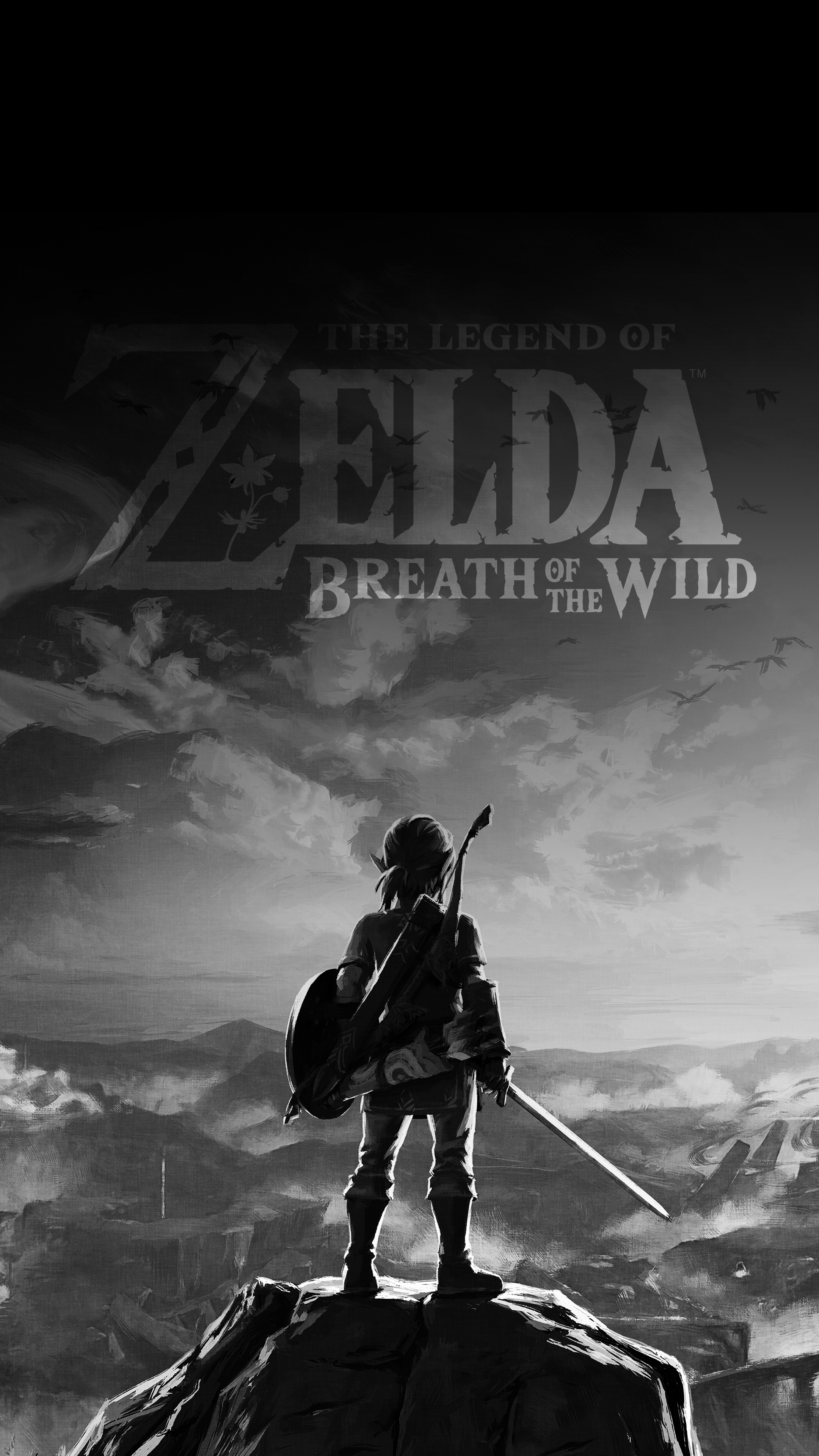 Black and White Zelda Wallpapers Top Free Black and White Zelda
