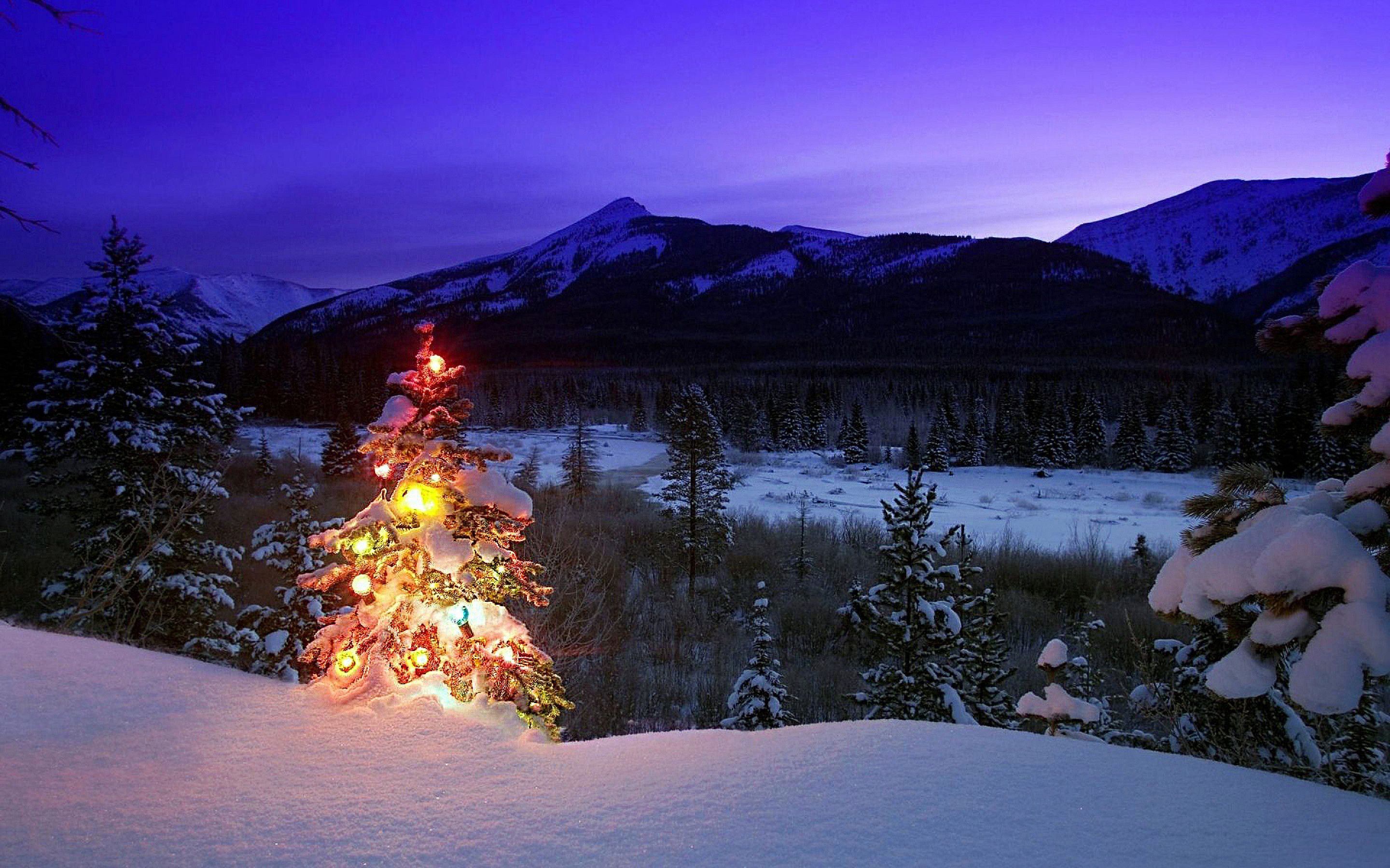 2880x1800 Wallpaper Fire on Snow Covered Ground Near Trees During Night Time, Background Free Image