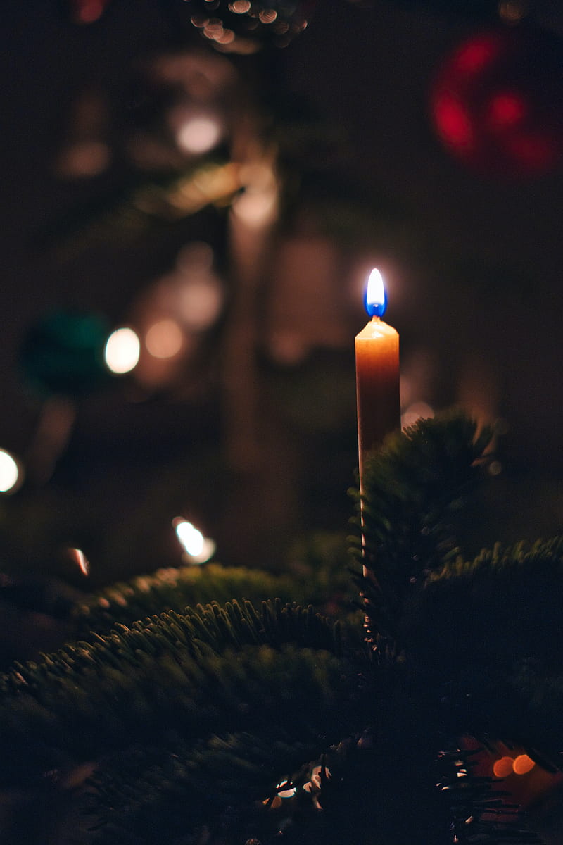 800x1200 Candle, fire, christmas tree, new year, christmas, HD phone wallpaper