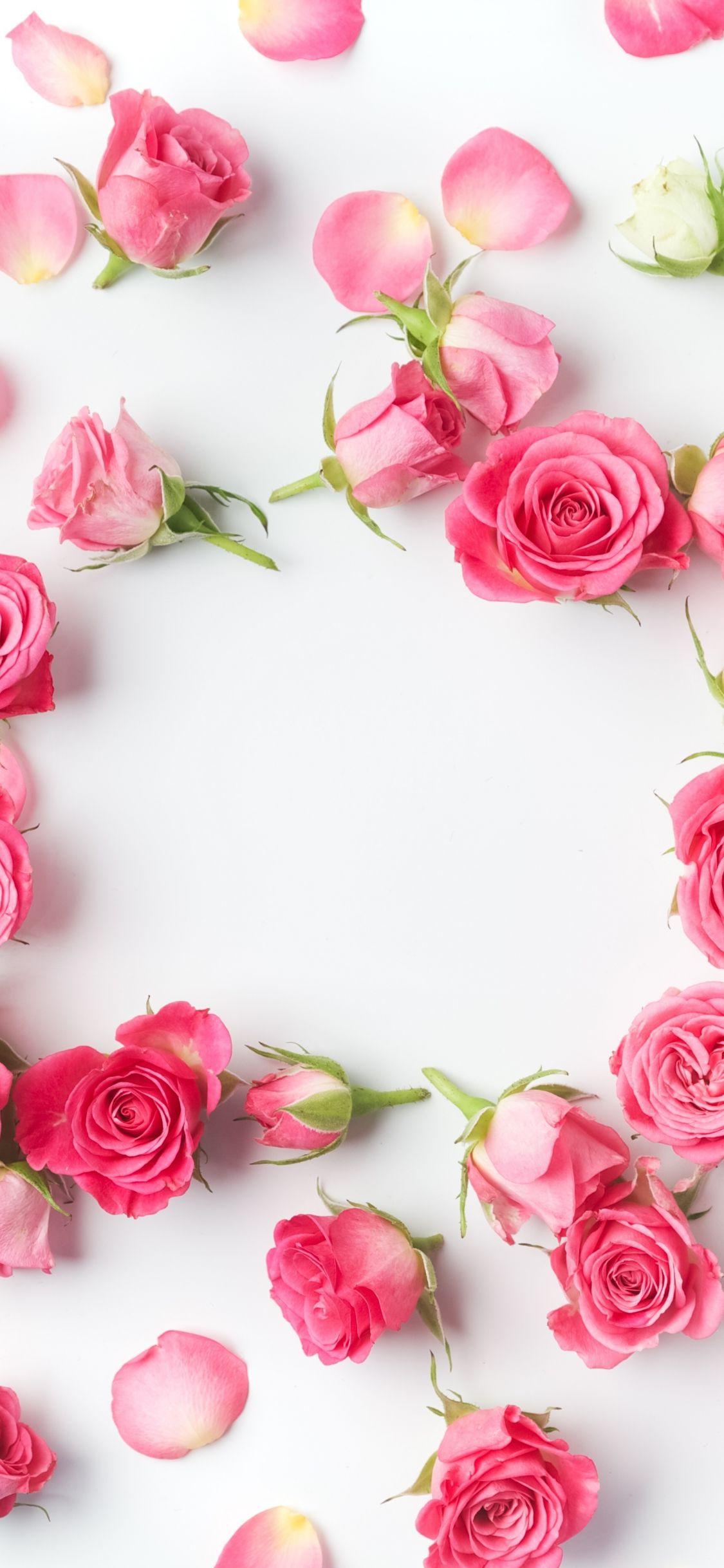 1125x2436 Download 1125x2436 wallpaper flowers, petals, pink roses, flowers