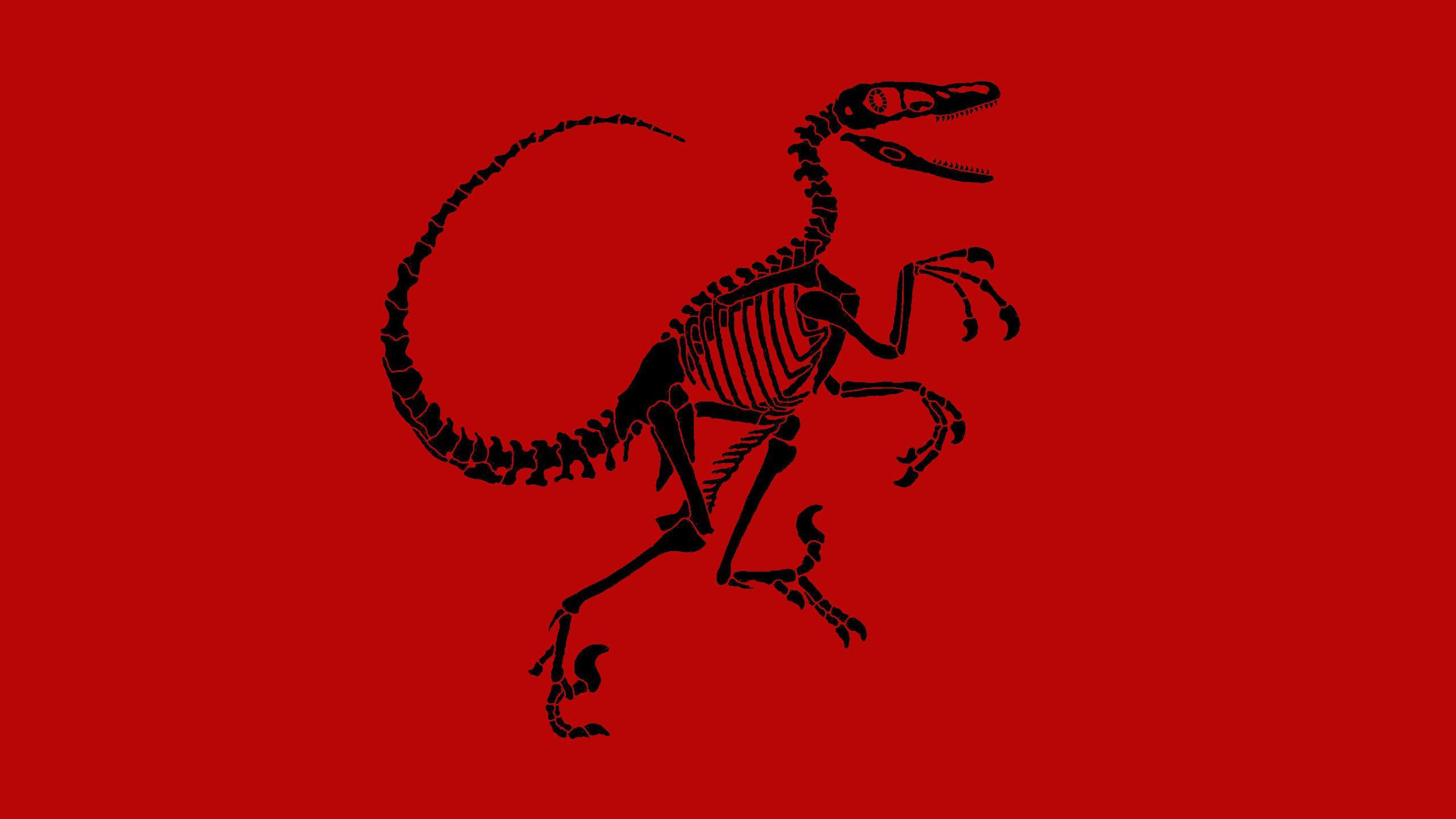 Nền máy tính Velociraptor 2560x1440 https://wallpaperaccess.com/full/3059862.jpg