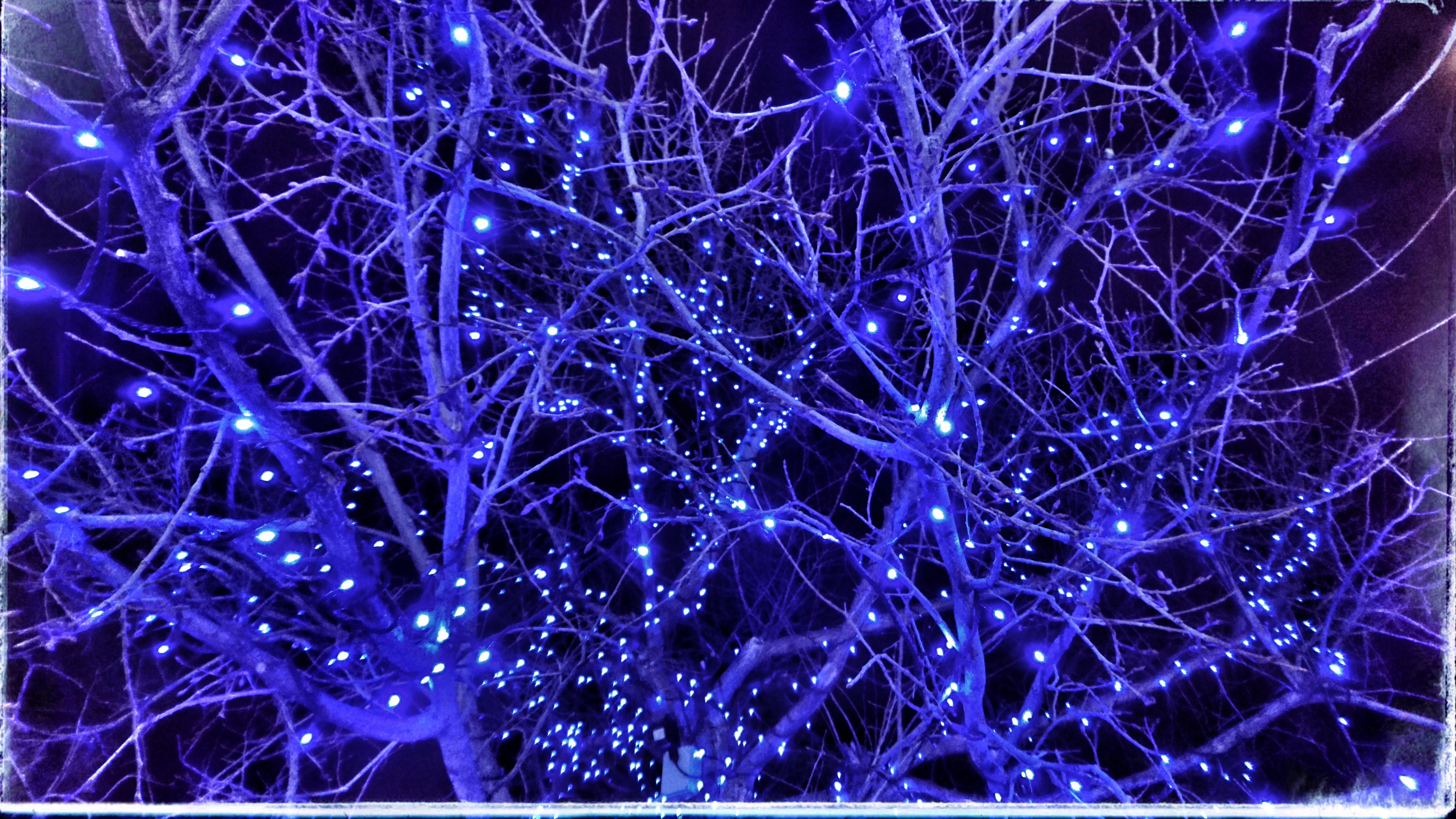 5984x3366 Wallpaper Weekends: Christmas Tree iPhone and iPad Wallpaper