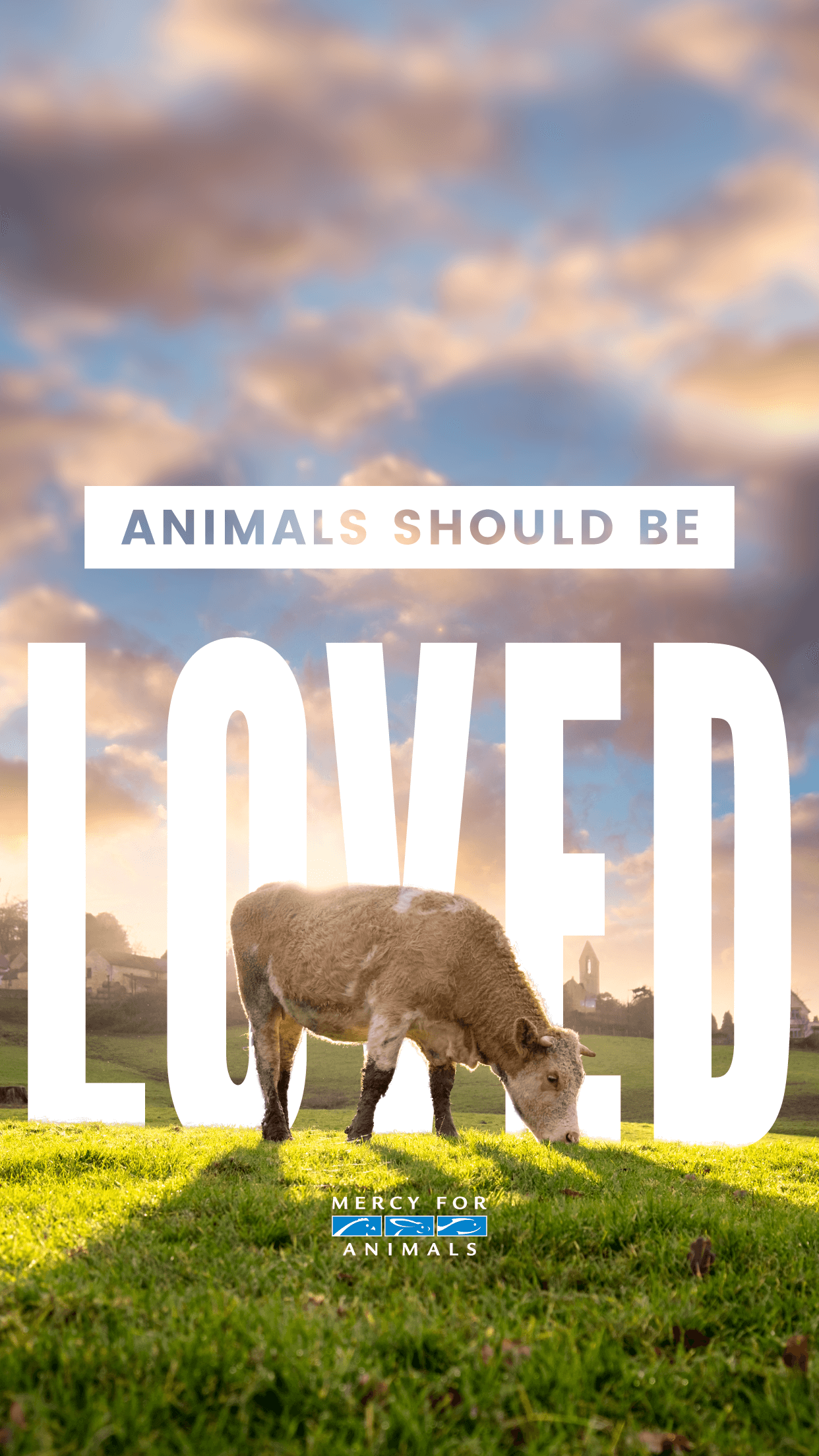 1242x2208 These 11 Free Vegan iPhone Wallpaper Will Inspire You