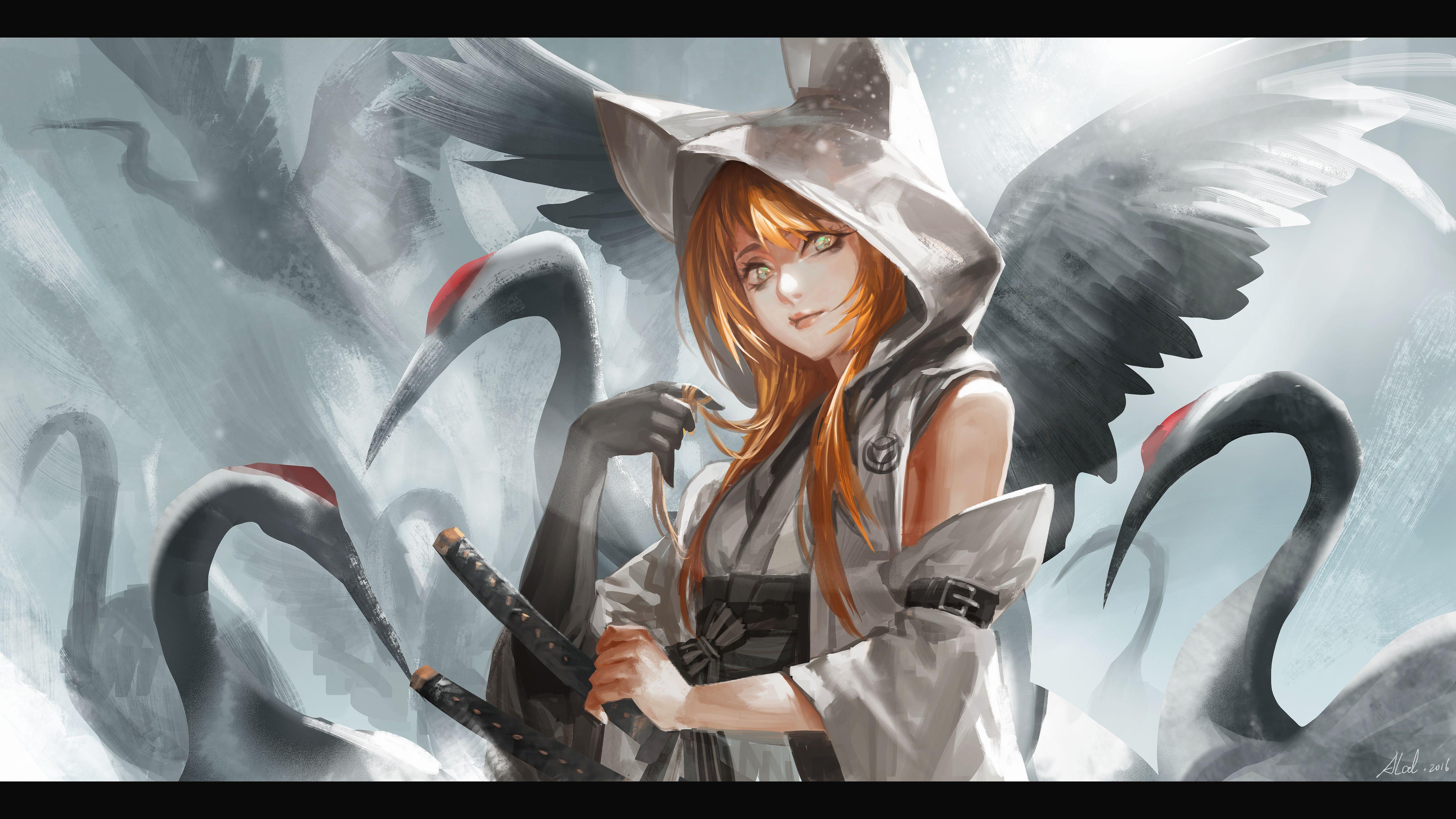 5081x2858 Hoodie HD Wallpaper and Background Image