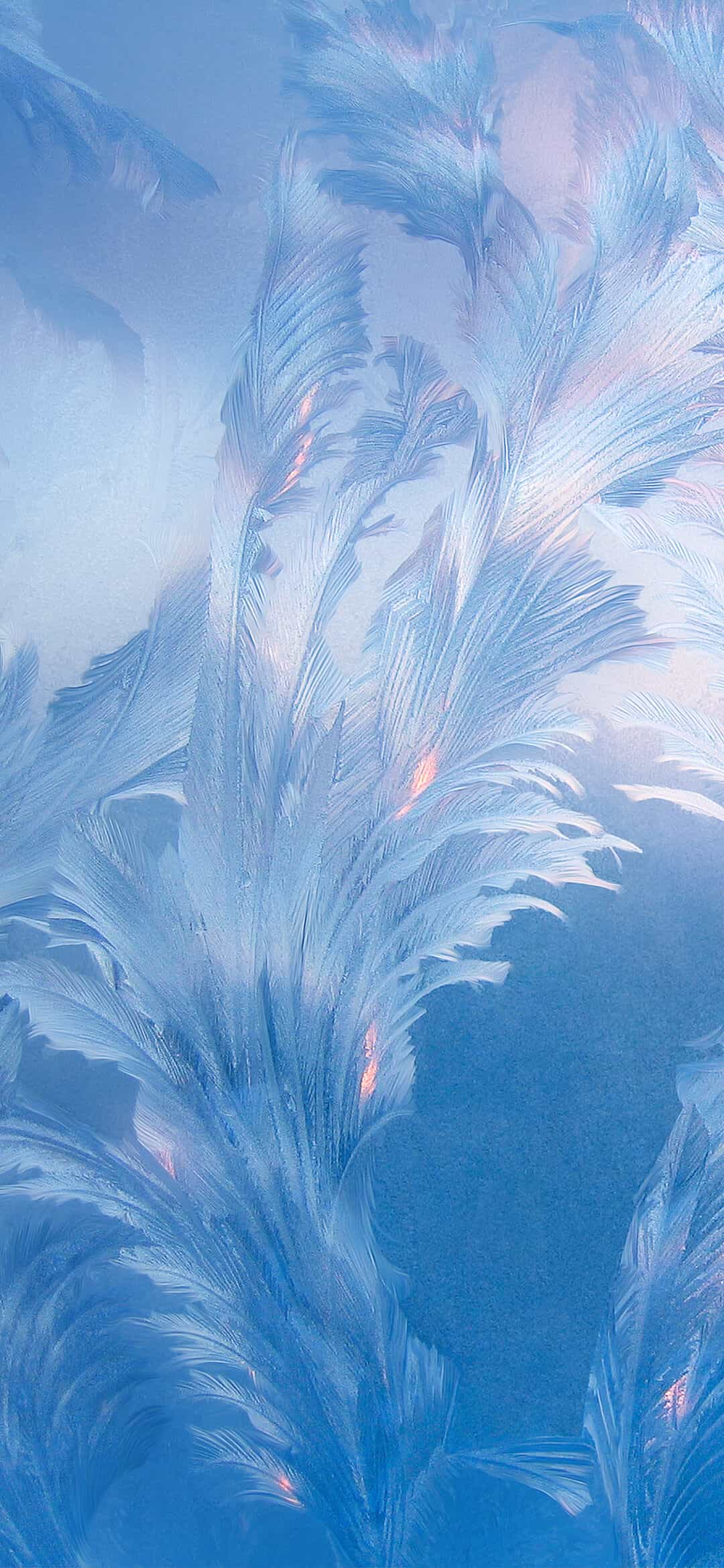 1080x2340 Xiaomi Mi 10 Wallpaper