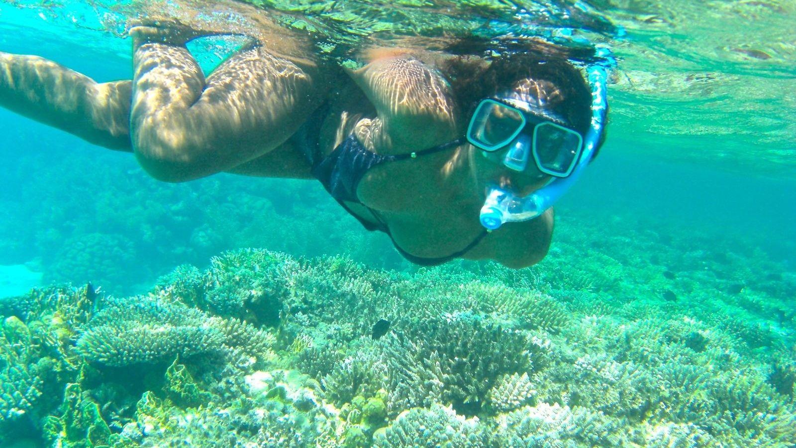 1600x900 Free download Sharm EL Sheikh Snorkeling Trip Shaspo Tours Egypt