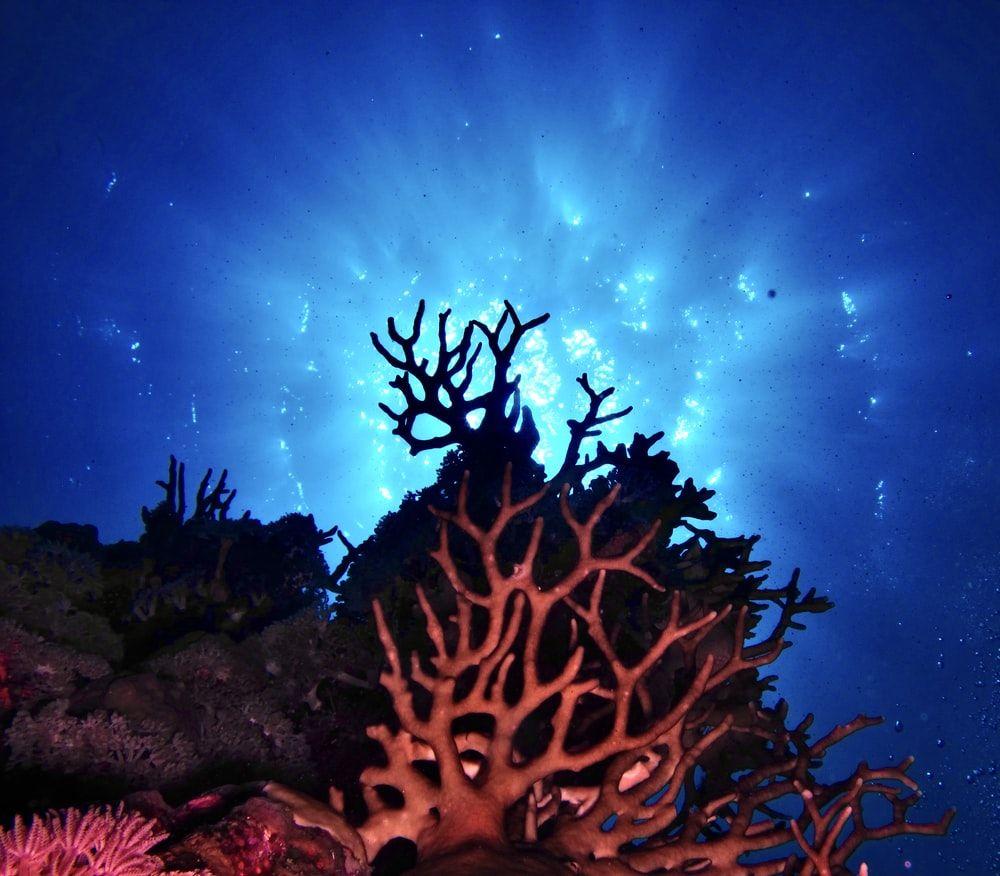 1000x876 Sharm El Sheikh, Egypt Picture. Download Free Image
