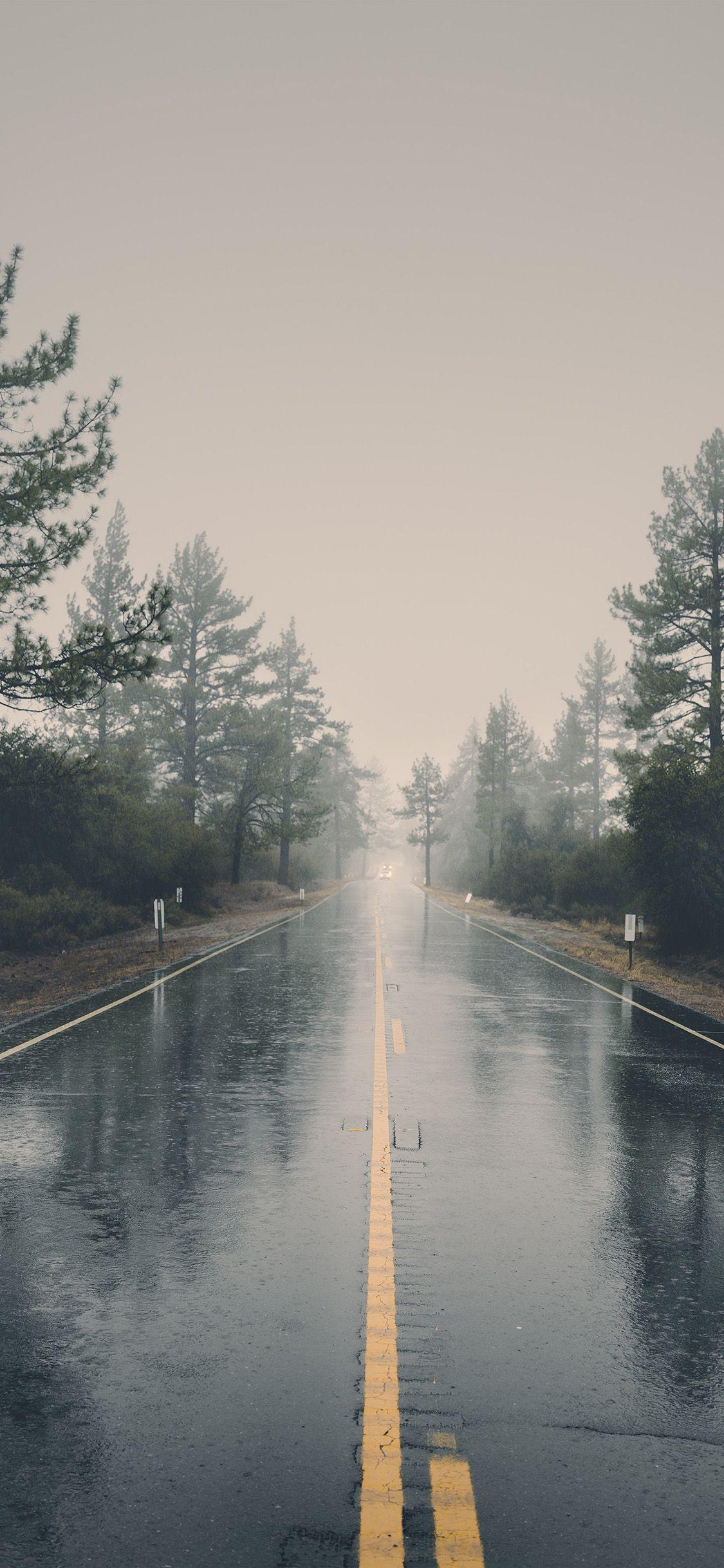 1125x2436 iPhone X wallpaper. rain road street