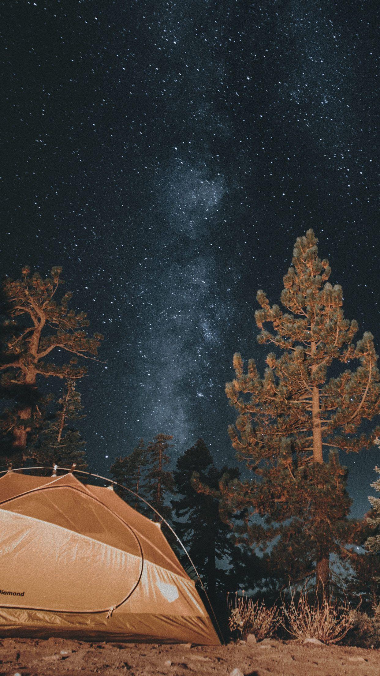 1242x2208 Wallpaper Camping