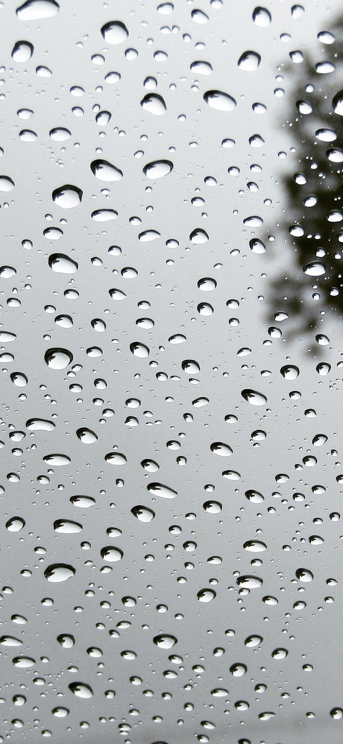 Rainy iPhone Wallpapers - Top Free Rainy iPhone Backgrounds ...