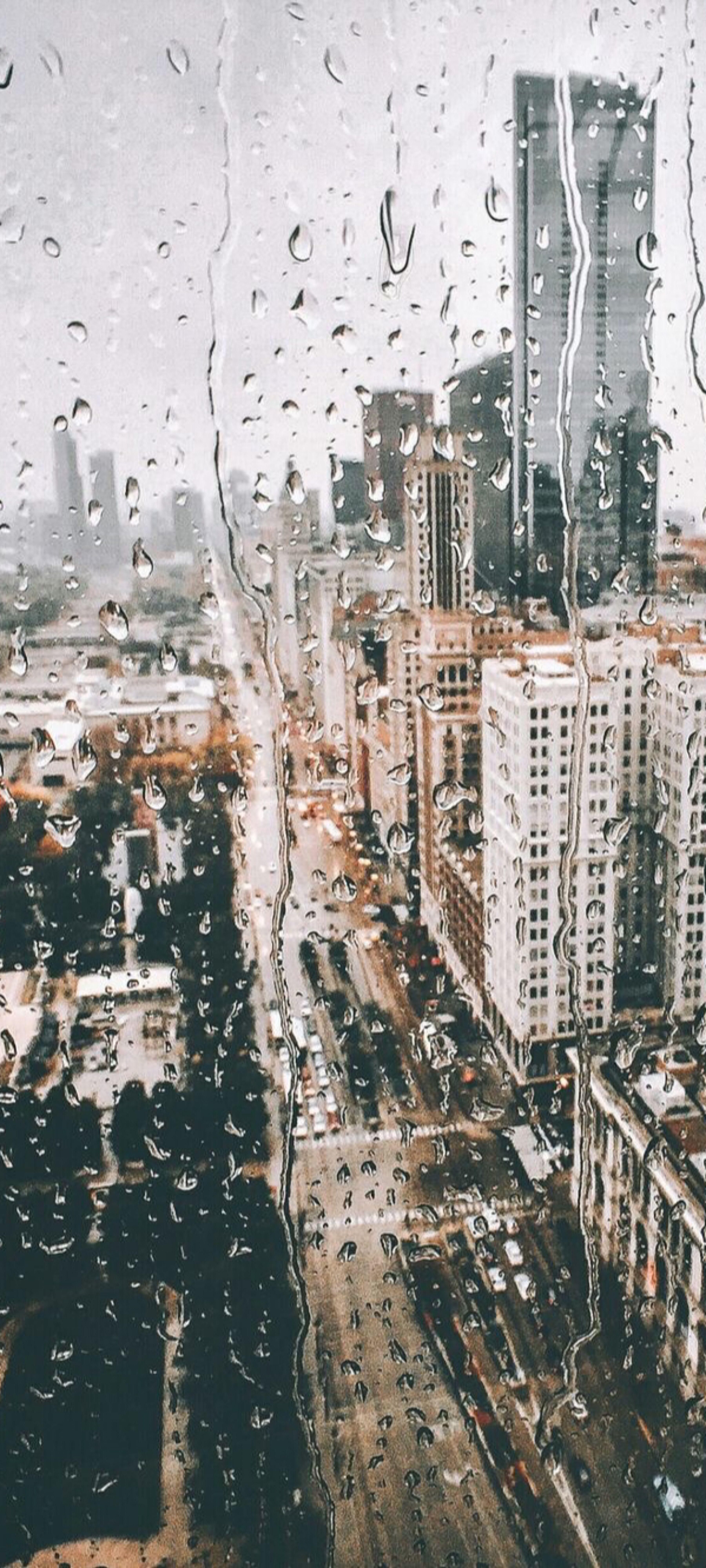 3600x7999 