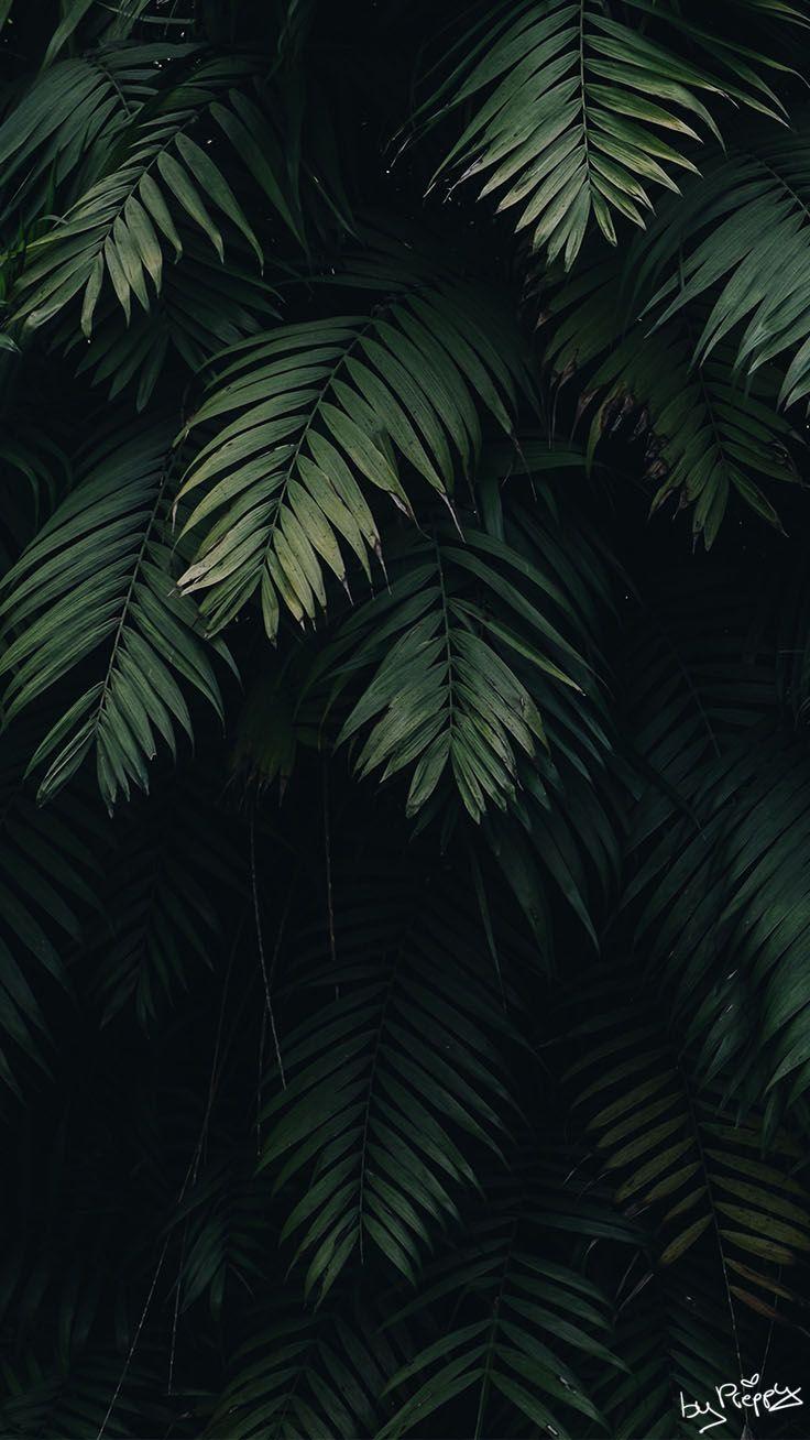 736x1308 Tropical Jungle iPhone X Wallpaper