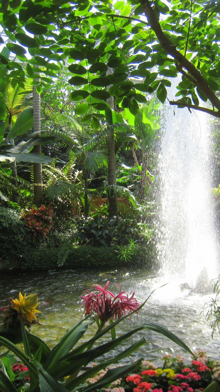 750x1334 Tropical Rainforest Wallpaper