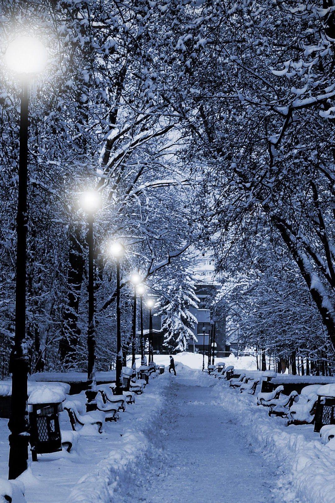 1067x1600 Free download iPhone 3D IPhone Wallpaper 3D Christmas Tree IPhone