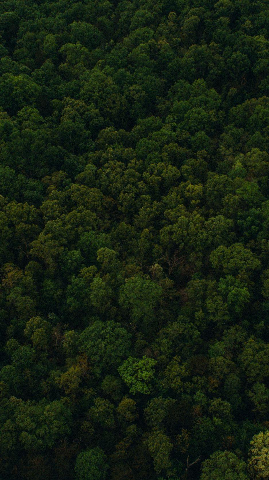 938x1668 Download Wallpaper 938x1668 Trees, Top View, Green Iphone 8 7 6s 6