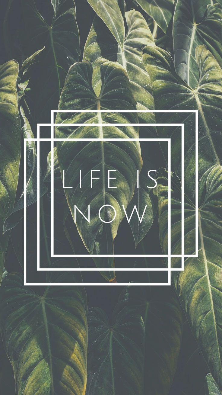 736x1308 iPhone wallpaper : 10 Happy iPhone 7 Wallpaper to Celebrate Life