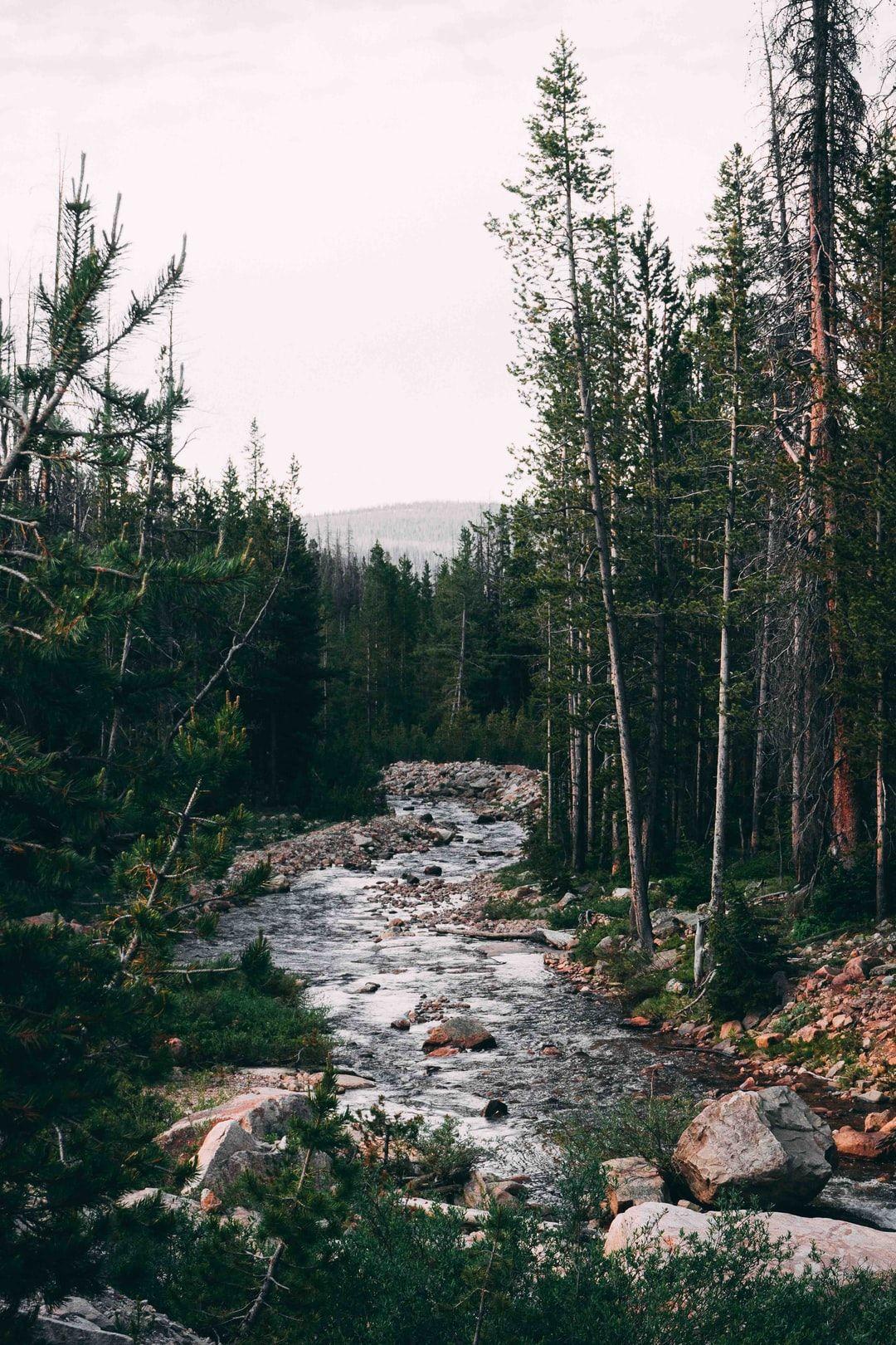1080x1620 Nature best free nature, forest, fog, and cloud photo