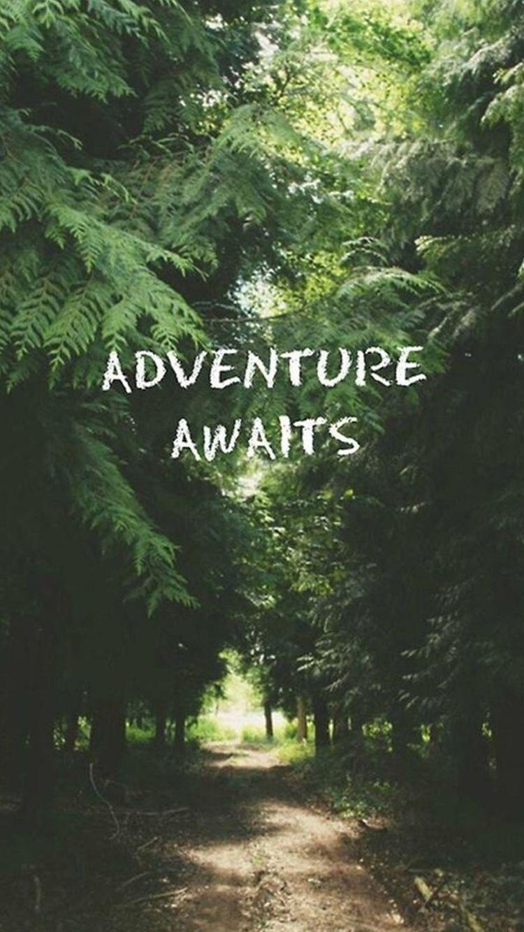 750x1334 Adventure Awaits Forest iPhone 6 Wallpaper HD Download